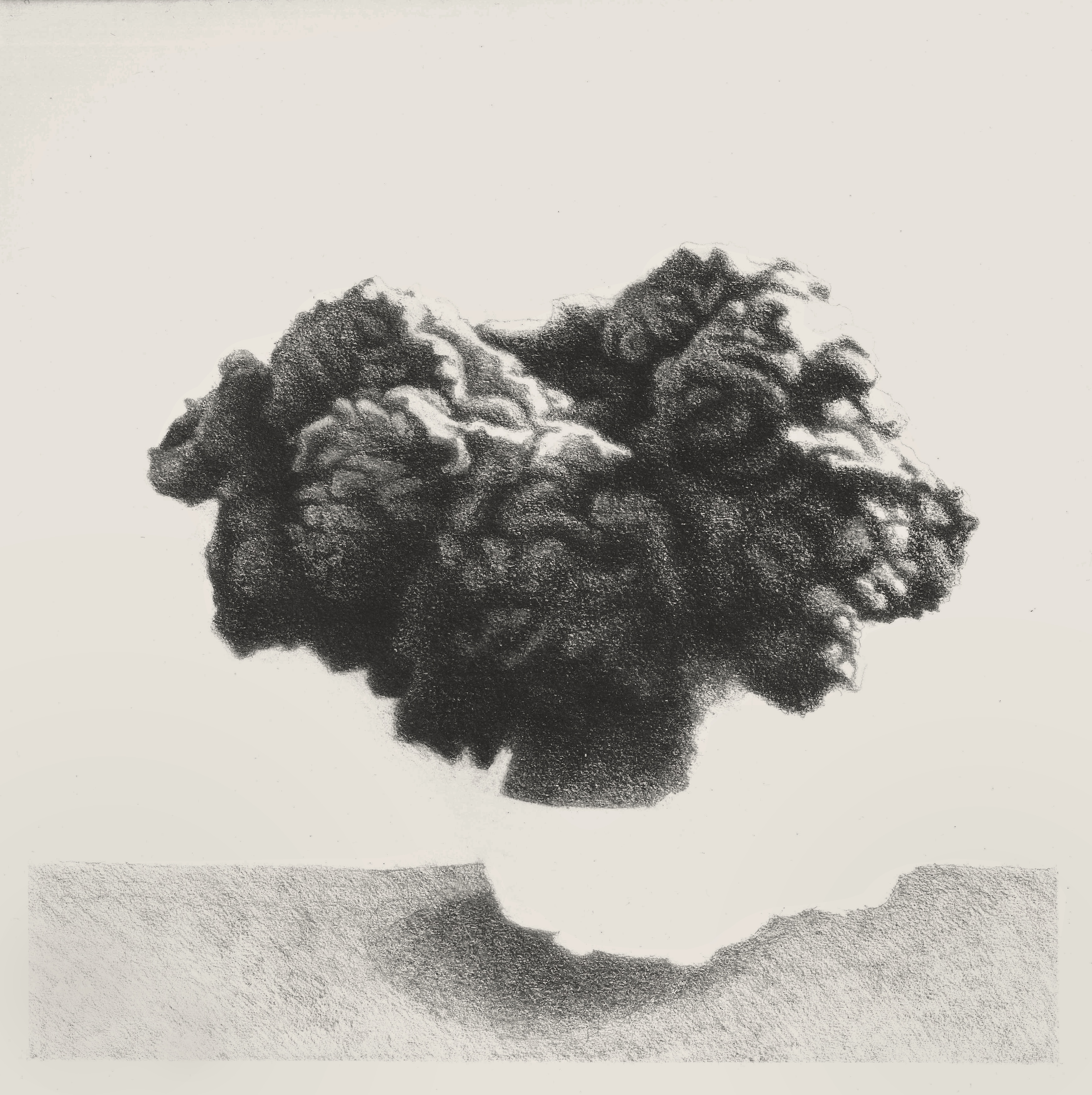Artwork Bloom by Saman Bijargasht Artwork Bloom by Saman Bijargasht
