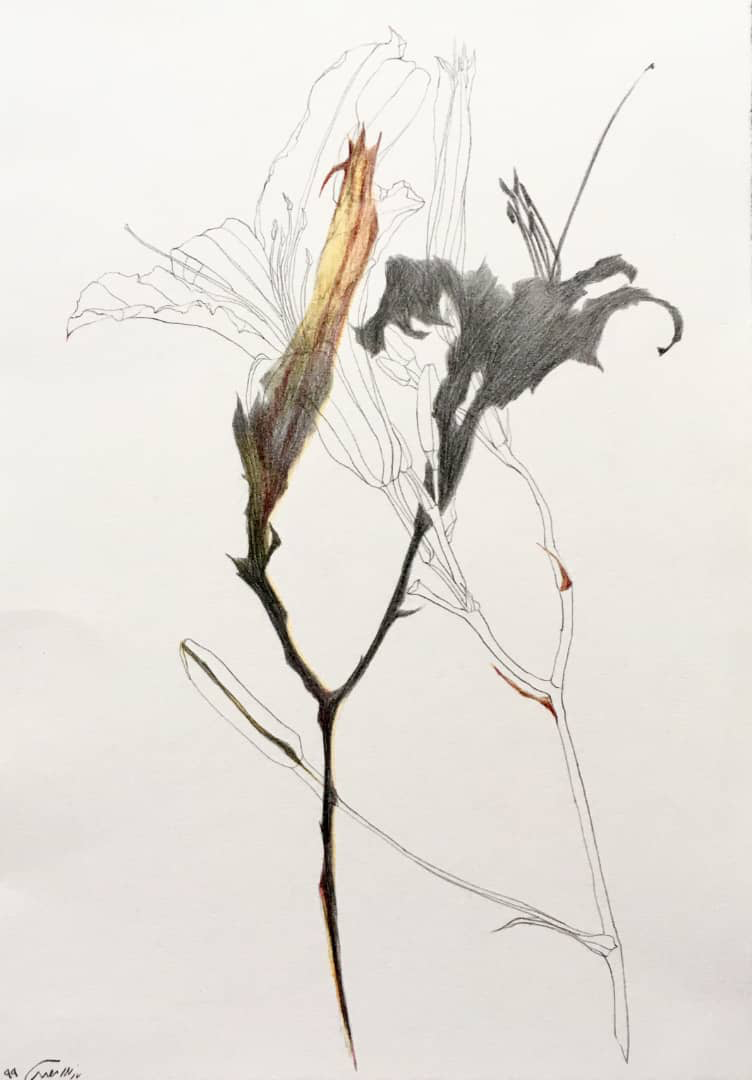 Artwork Untitled2 by Nazila Moghadam Artwork Untitled2 by Nazila Moghadam