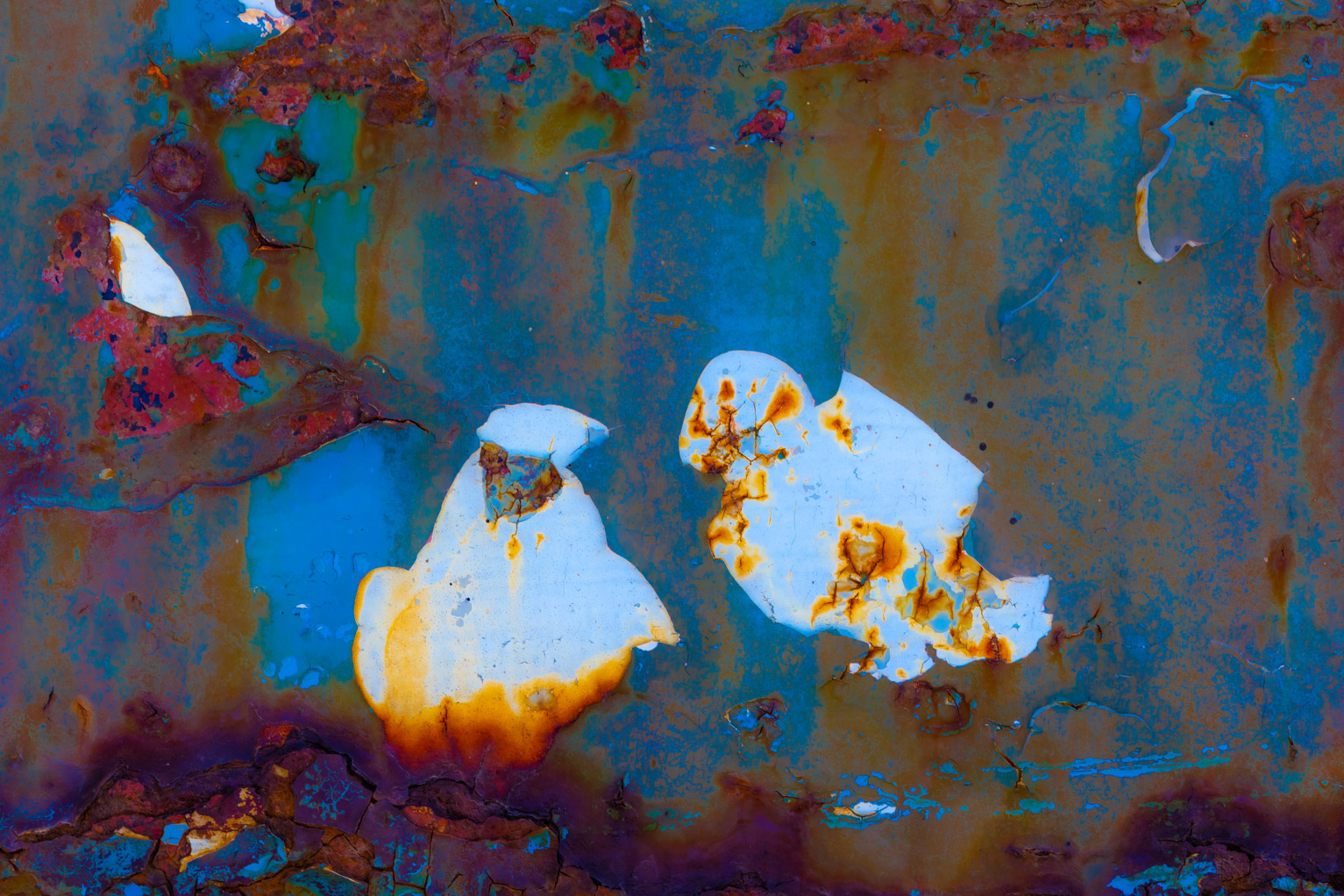 Artwork the sound of the cuckoo by Majid Hojati - Maho Artwork the sound of the cuckoo by Majid Hojati - Maho