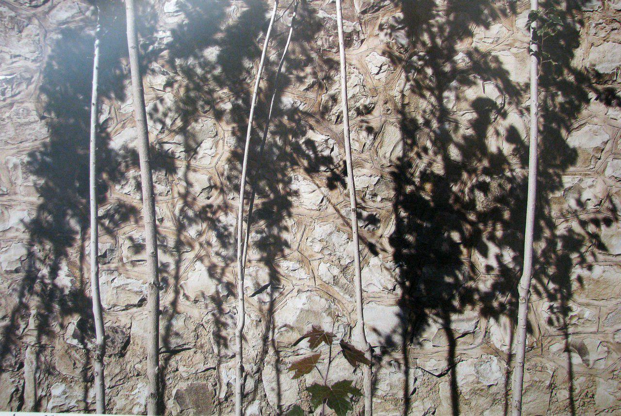 Artwork Untitled by Abbas Kiarostami Artwork Untitled by Abbas Kiarostami