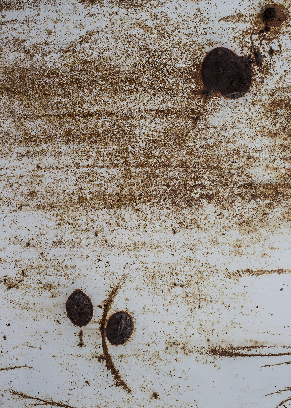 Artwork It grows by Abed Mirmasoumi Artwork It grows by Abed Mirmasoumi