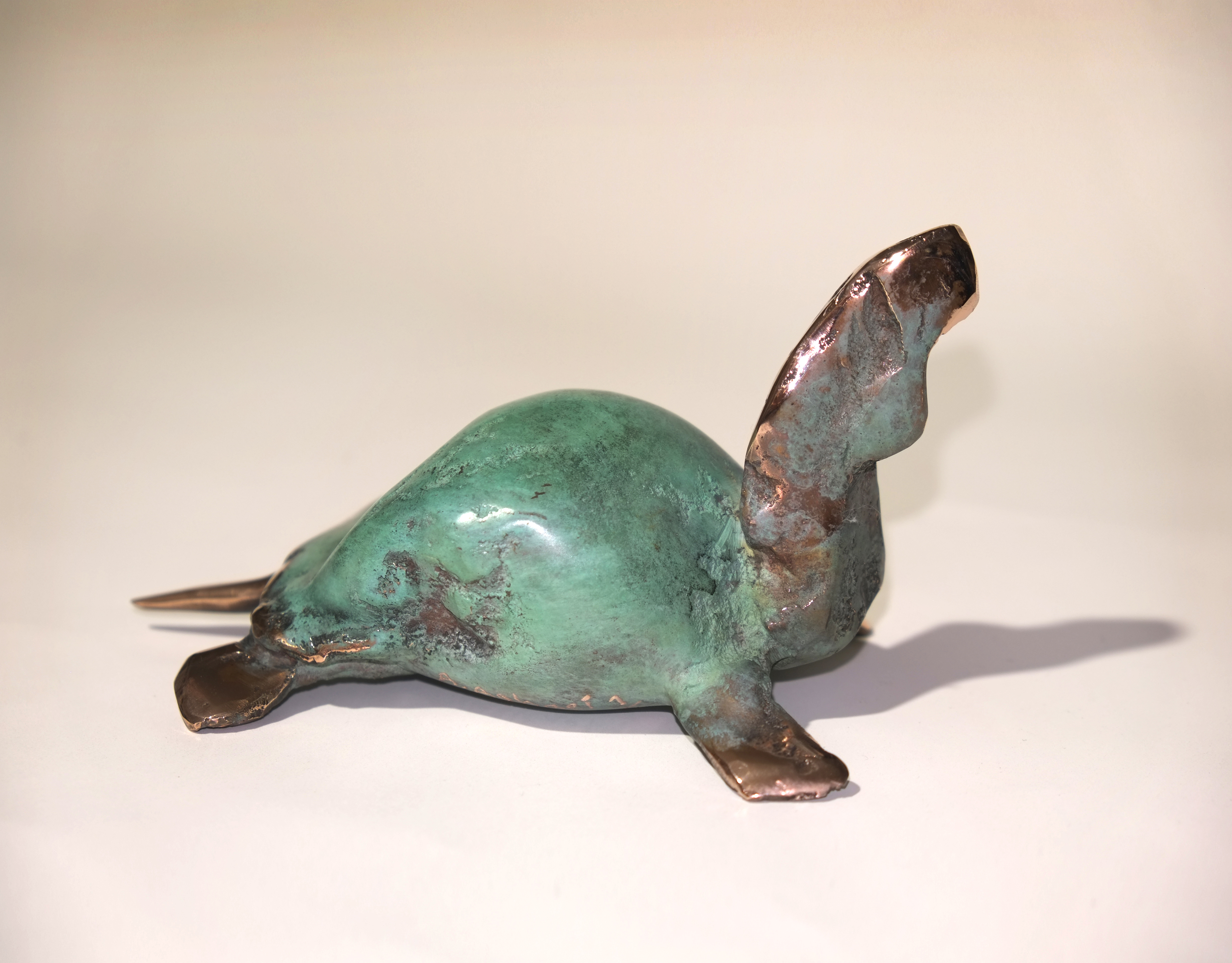 اثر لاکپشت از امین آقایی اثر لاکپشت از امین آقایی