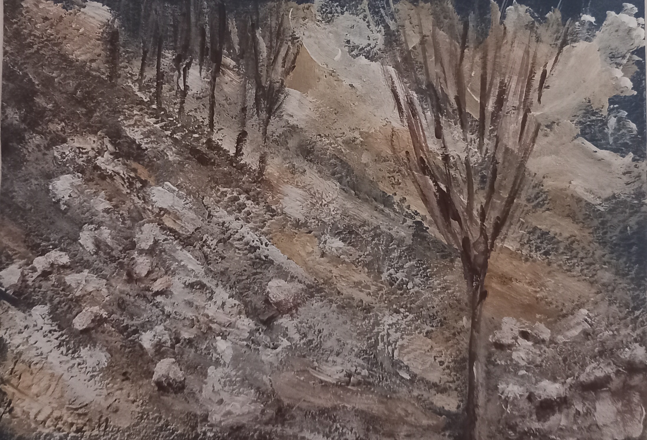 Artwork Acute panaroma by Delaram Ghaemi Artwork Acute panaroma by Delaram Ghaemi