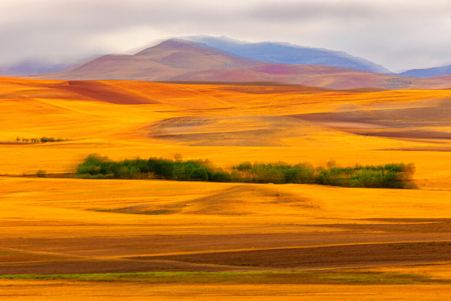 Artwork From the collection "On the path of dream" NO 3 by Majid Hojati - Maho Artwork From the collection "On the path of dream" NO 3 by Majid Hojati - Maho