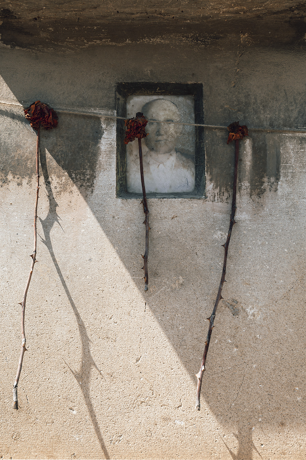 اثر از مجموعه گل های مرده شماره 03 از مجید حجتی (ماهو) اثر از مجموعه گل های مرده شماره 03 از مجید حجتی (ماهو)