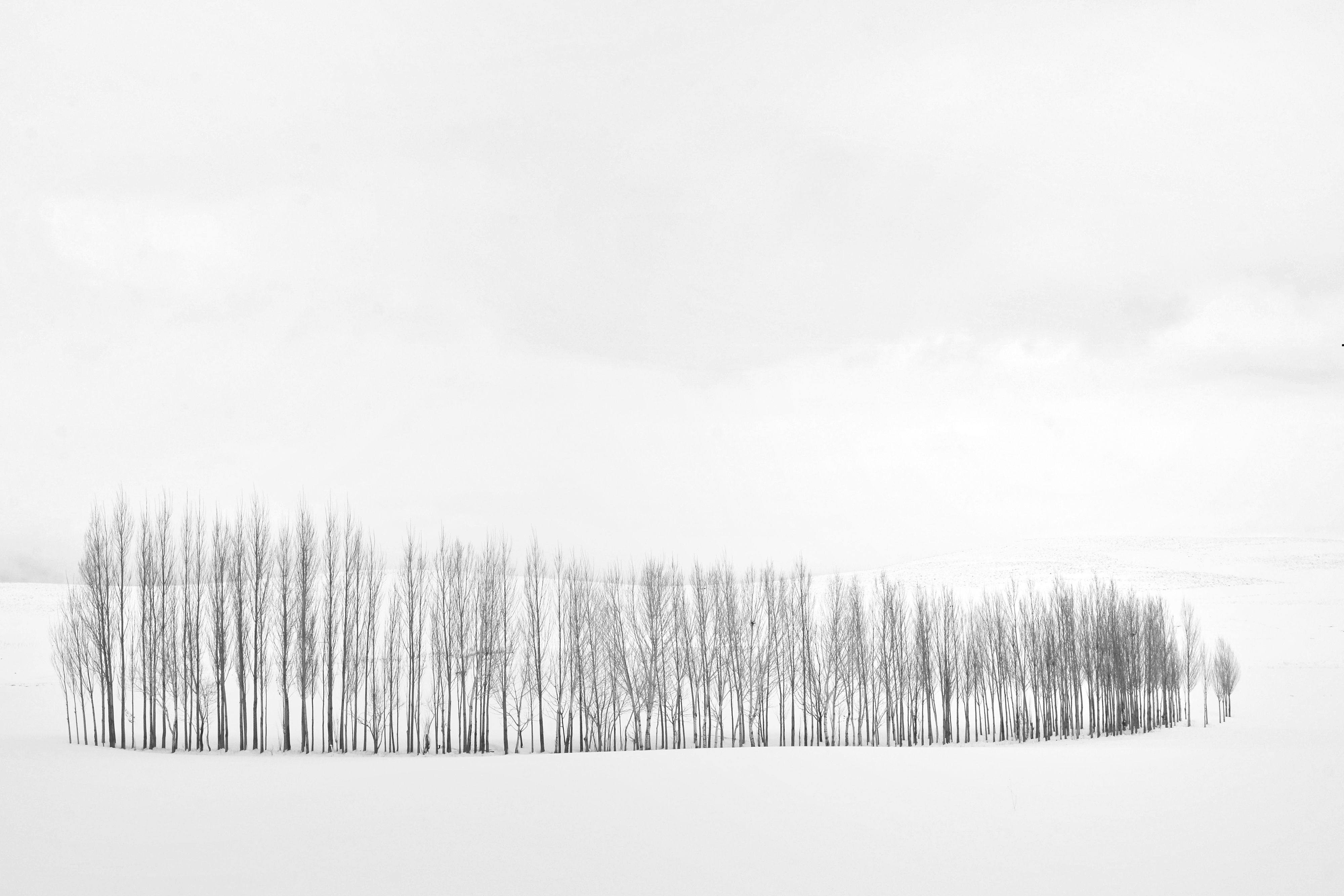 Artwork winter by abbas rahmani Artwork winter by abbas rahmani