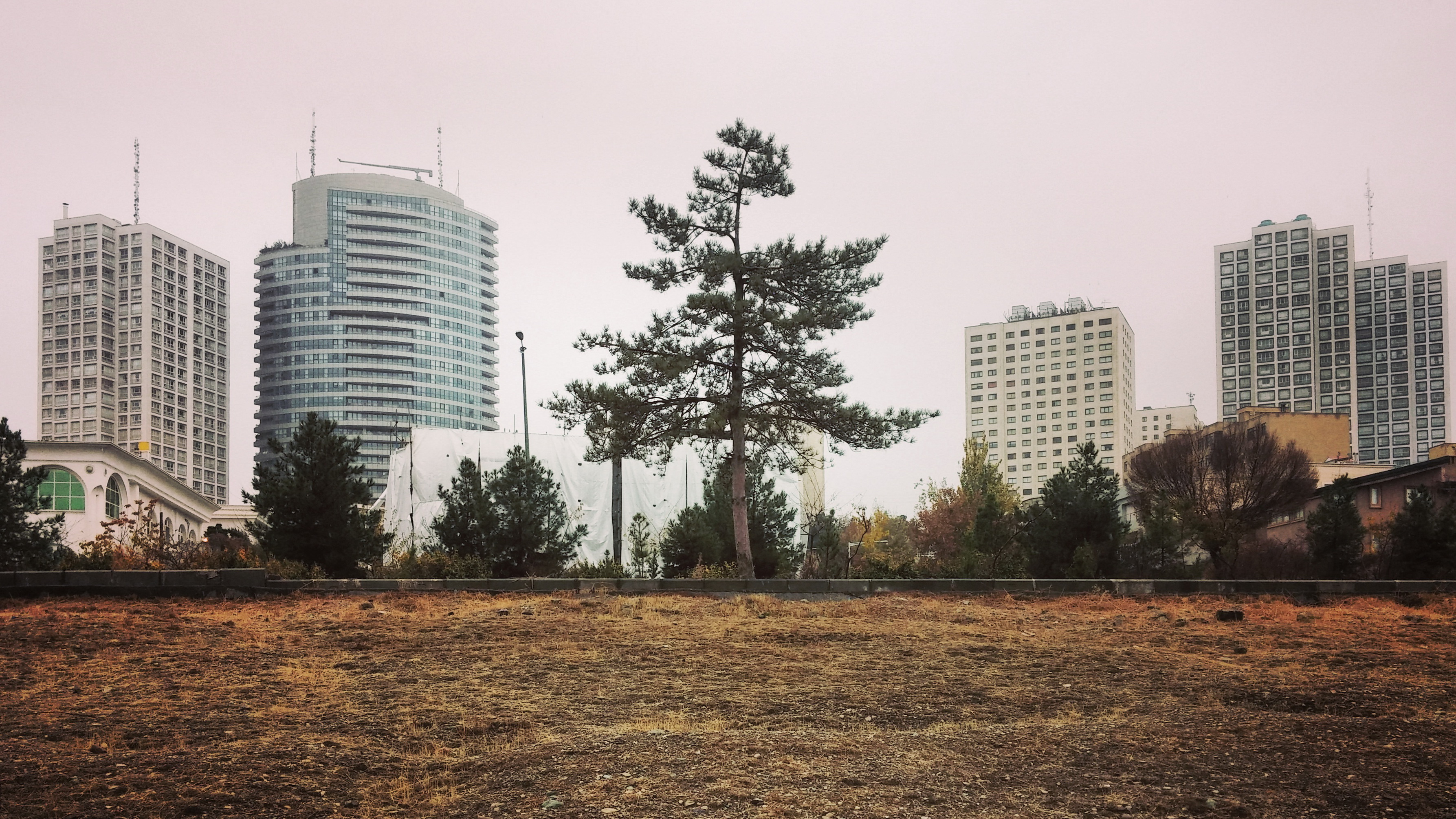 Artwork Untitled Number 5 by Alireza Zangiabadi Artwork Untitled Number 5 by Alireza Zangiabadi