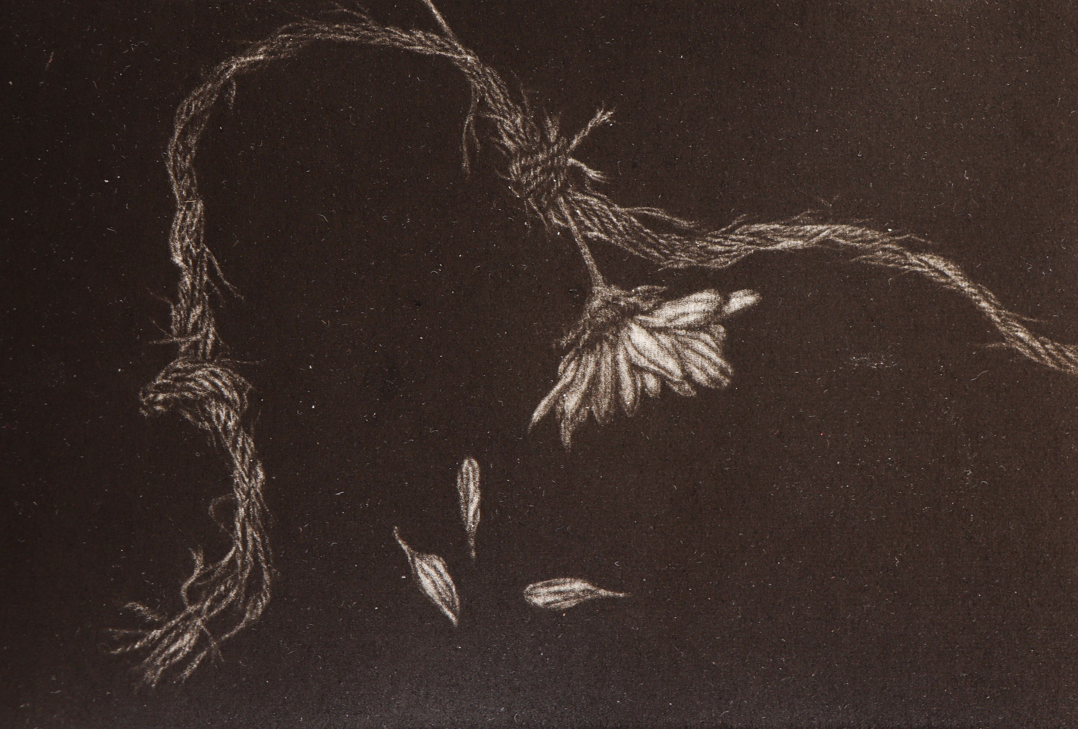 Artwork lfe by Elham Radfar Artwork lfe by Elham Radfar