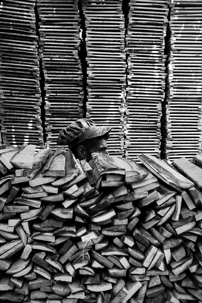 Artwork In the Shadows of Saws by ali ranjbaran Artwork In the Shadows of Saws by ali ranjbaran