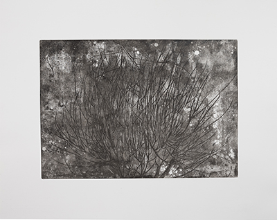 Artwork Untitled by Fatemeh Eslamian Artwork Untitled by Fatemeh Eslamian