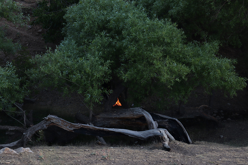 Artwork fire by Arsham Rezaei Artwork fire by Arsham Rezaei