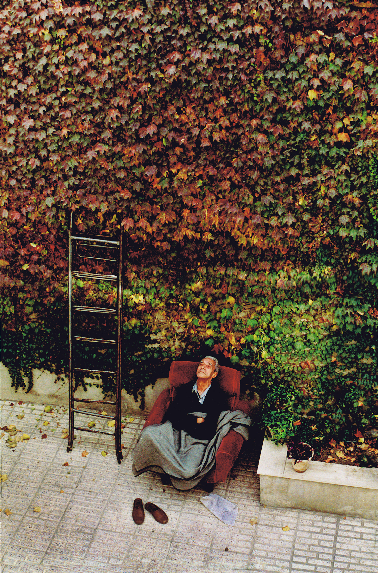 اثر عطرخاموشي از هاشم عطار اثر عطرخاموشي از هاشم عطار