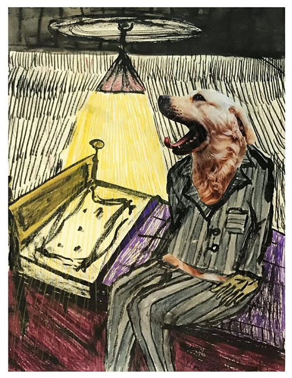 Artwork Zoosadism one by pouria alizadeh Artwork Zoosadism one by pouria alizadeh