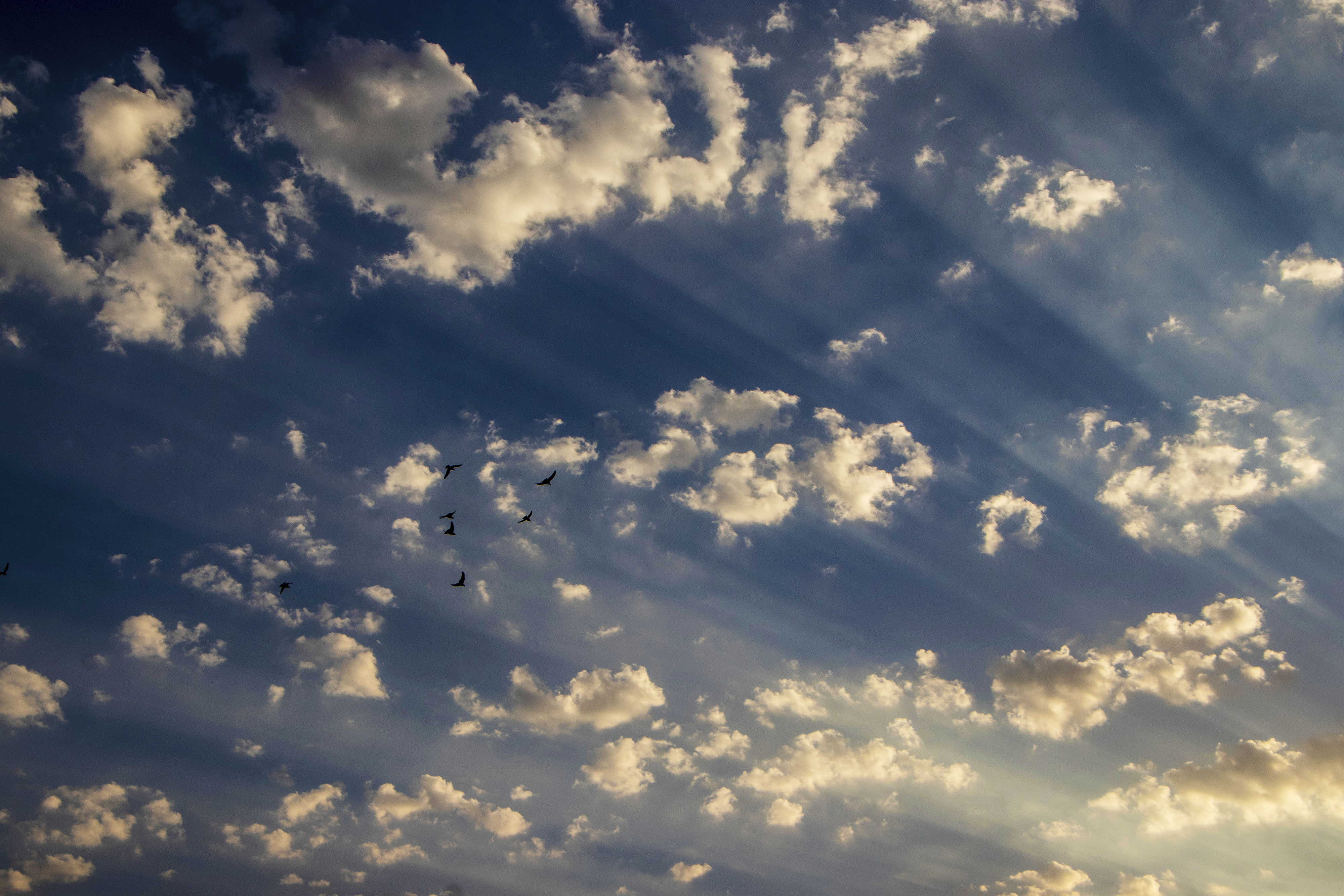 Artwork The sky of Iran in 2022 - mahsaamini by Abed Mirmasoumi Artwork The sky of Iran in 2022 - mahsaamini by Abed Mirmasoumi