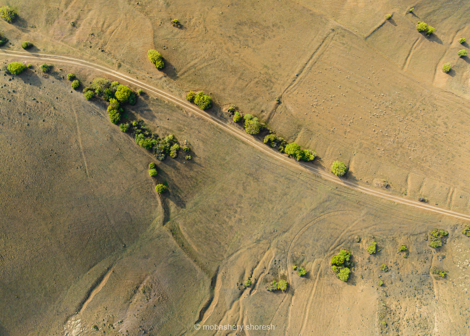 اثر دیلمان از شورش مباشری اثر دیلمان از شورش مباشری