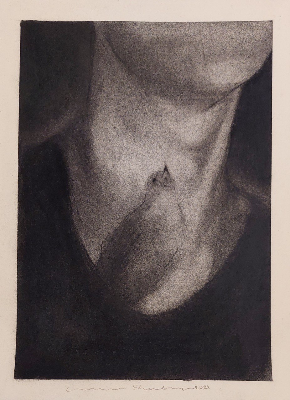 اثر بدون عنوان از امیر شلمانی اثر بدون عنوان از امیر شلمانی