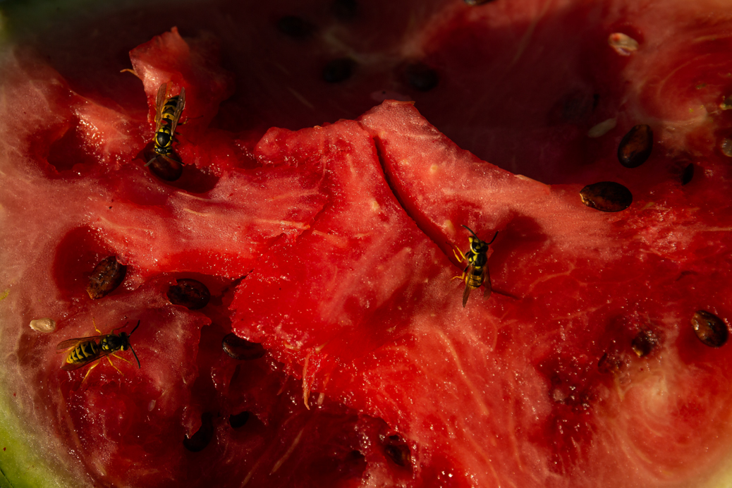 بدون عنوان1 | | خرید آثار هنری بدون عنوان1 | | خرید آثار هنری