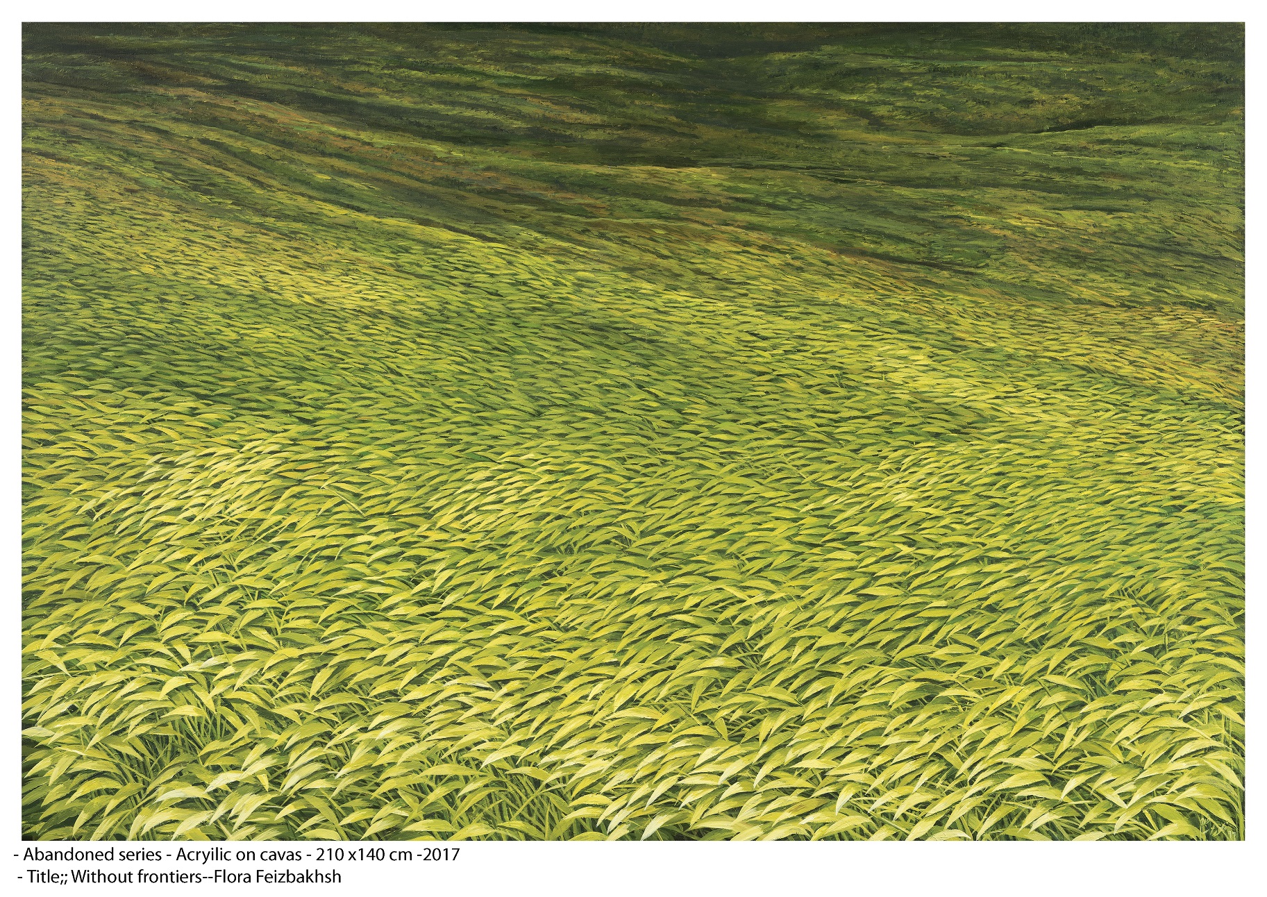 Artwork without frontiiers by flora feizbakhsh Artwork without frontiiers by flora feizbakhsh