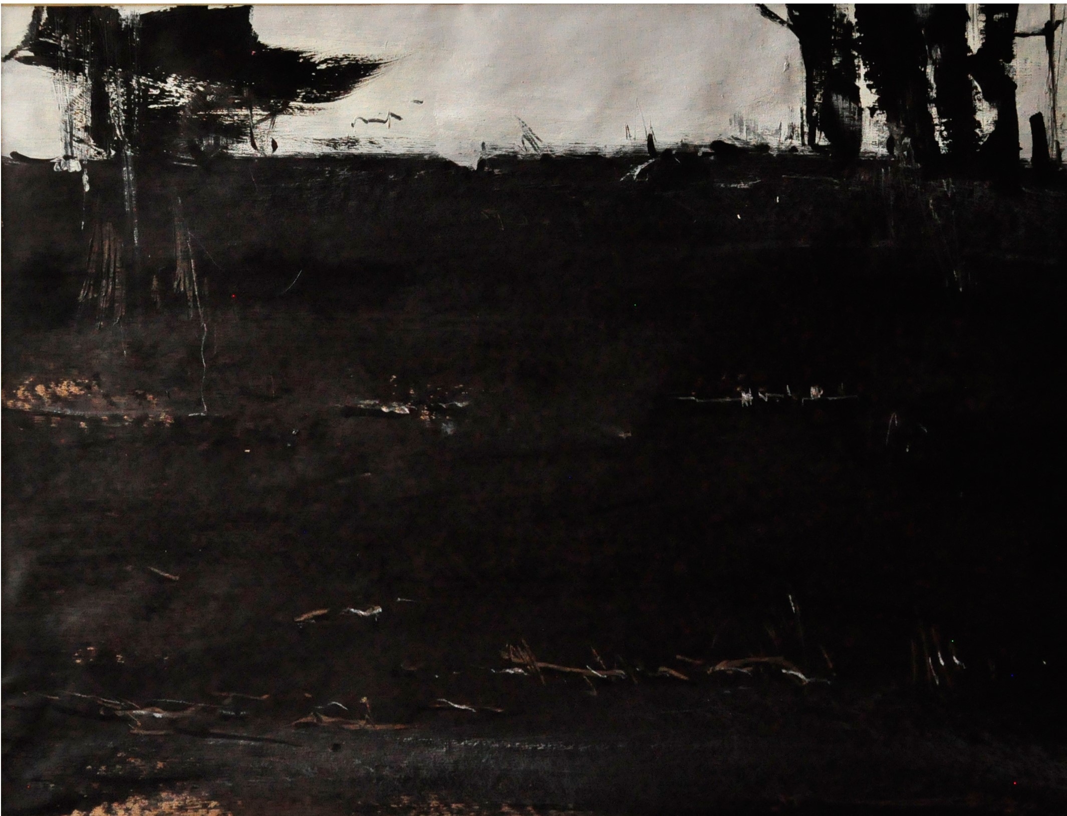 Artwork From the Pines Collection by Ario Farzi Artwork From the Pines Collection by Ario Farzi