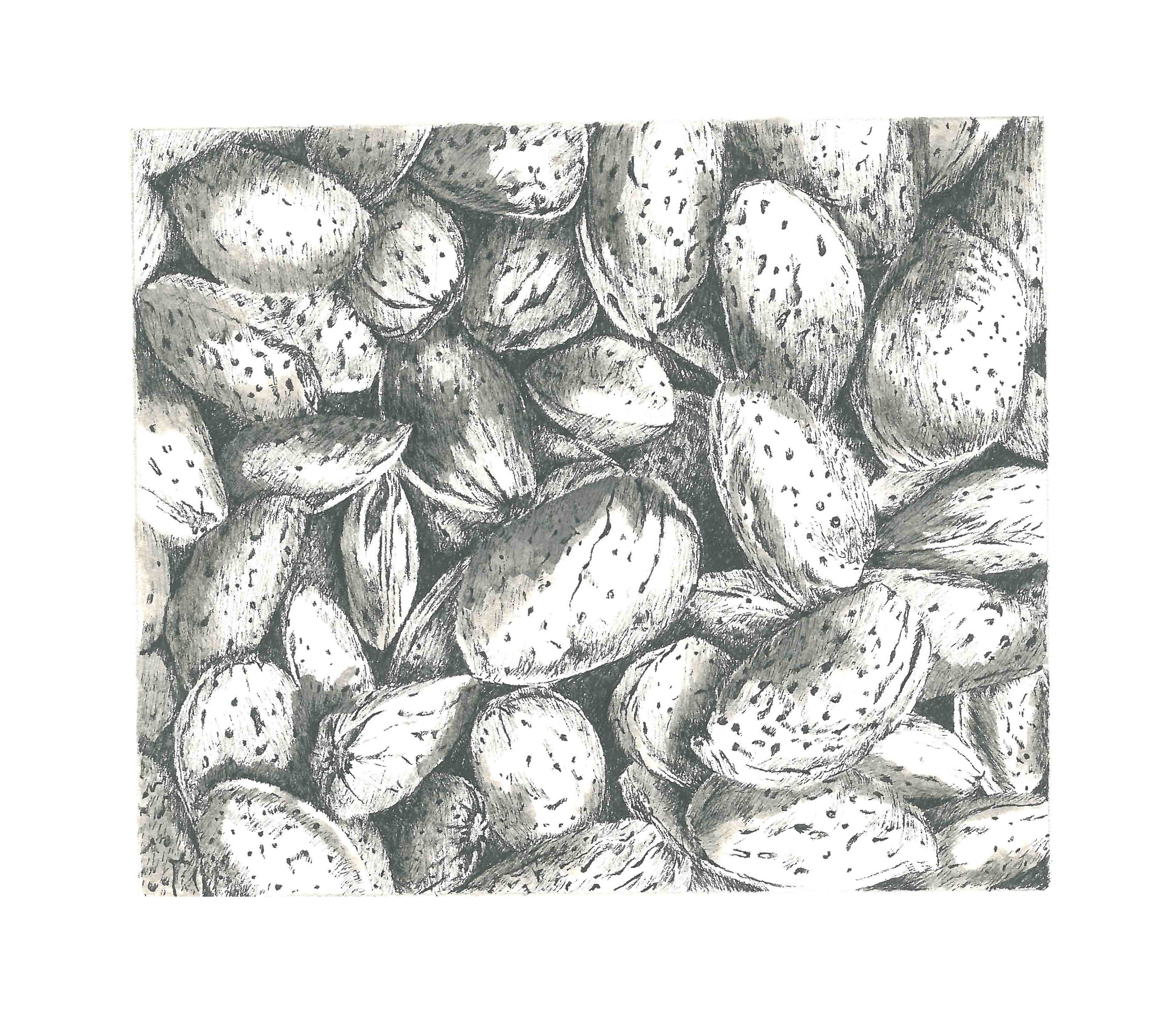 اثر بادام از مژده سوری اثر بادام از مژده سوری