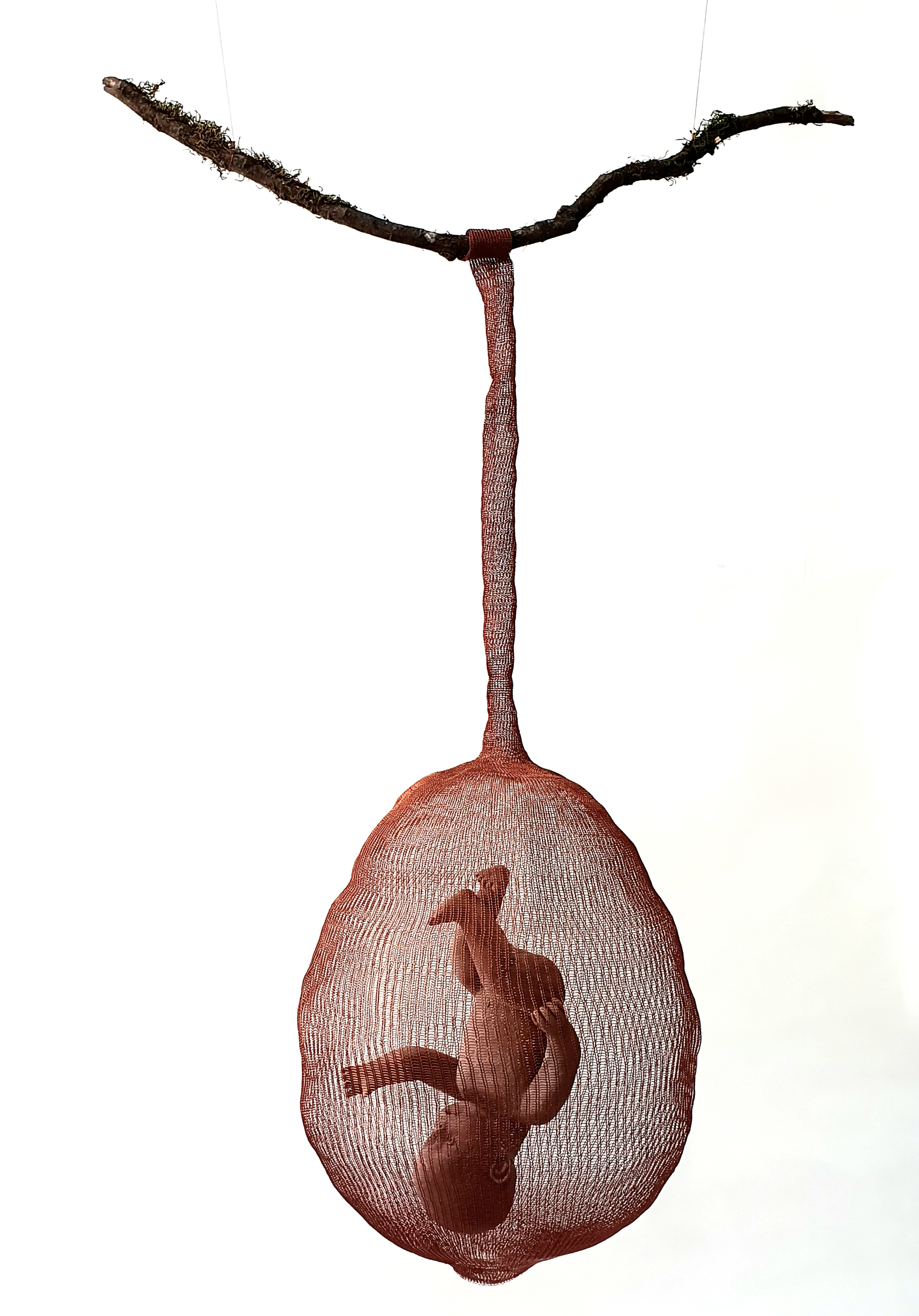 اثر رویش از وحیده کیانی پیروز اثر رویش از وحیده کیانی پیروز