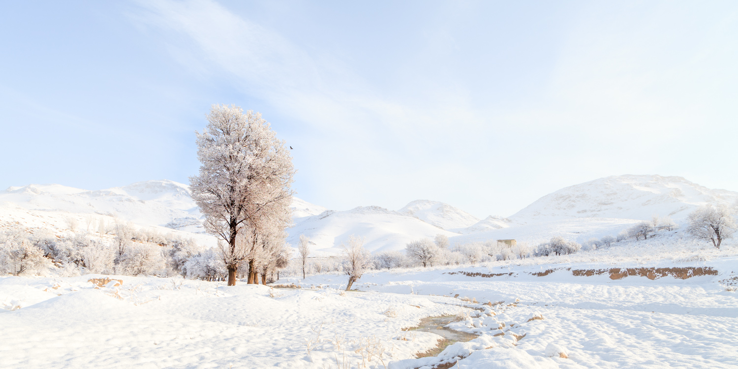 Artwork The Bride by Mehdi Arastouei Artwork The Bride by Mehdi Arastouei