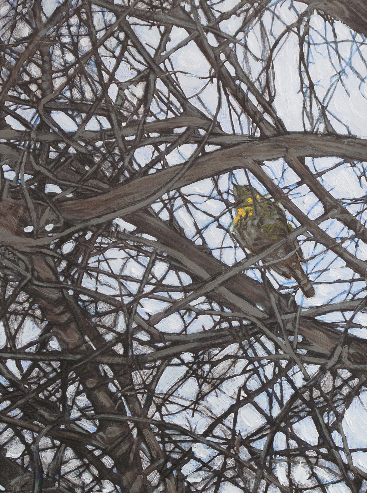 Artwork nest1 by katayoun tehrani Artwork nest1 by katayoun tehrani