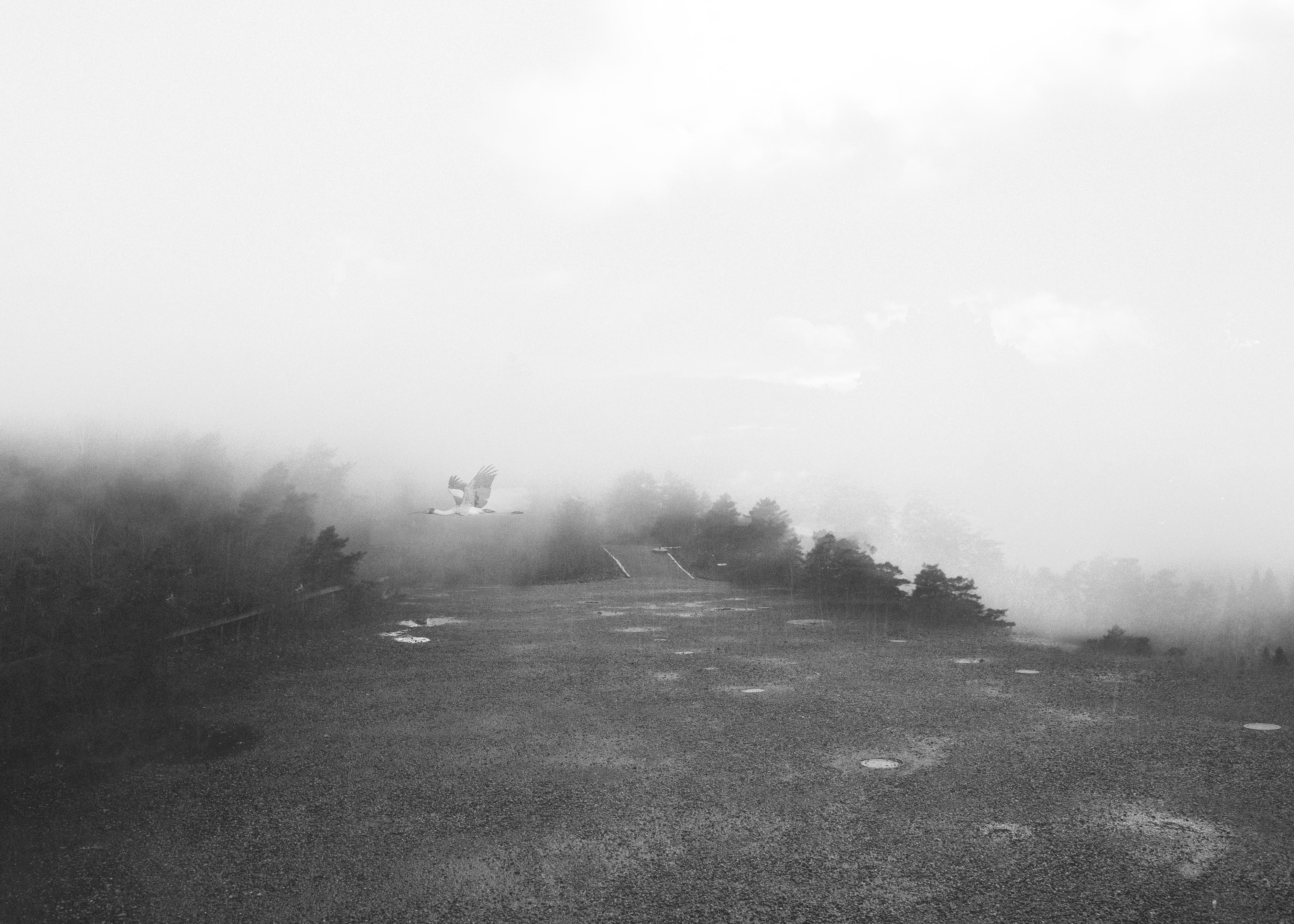 اثر معشوق از کاترین نظری اثر معشوق از کاترین نظری