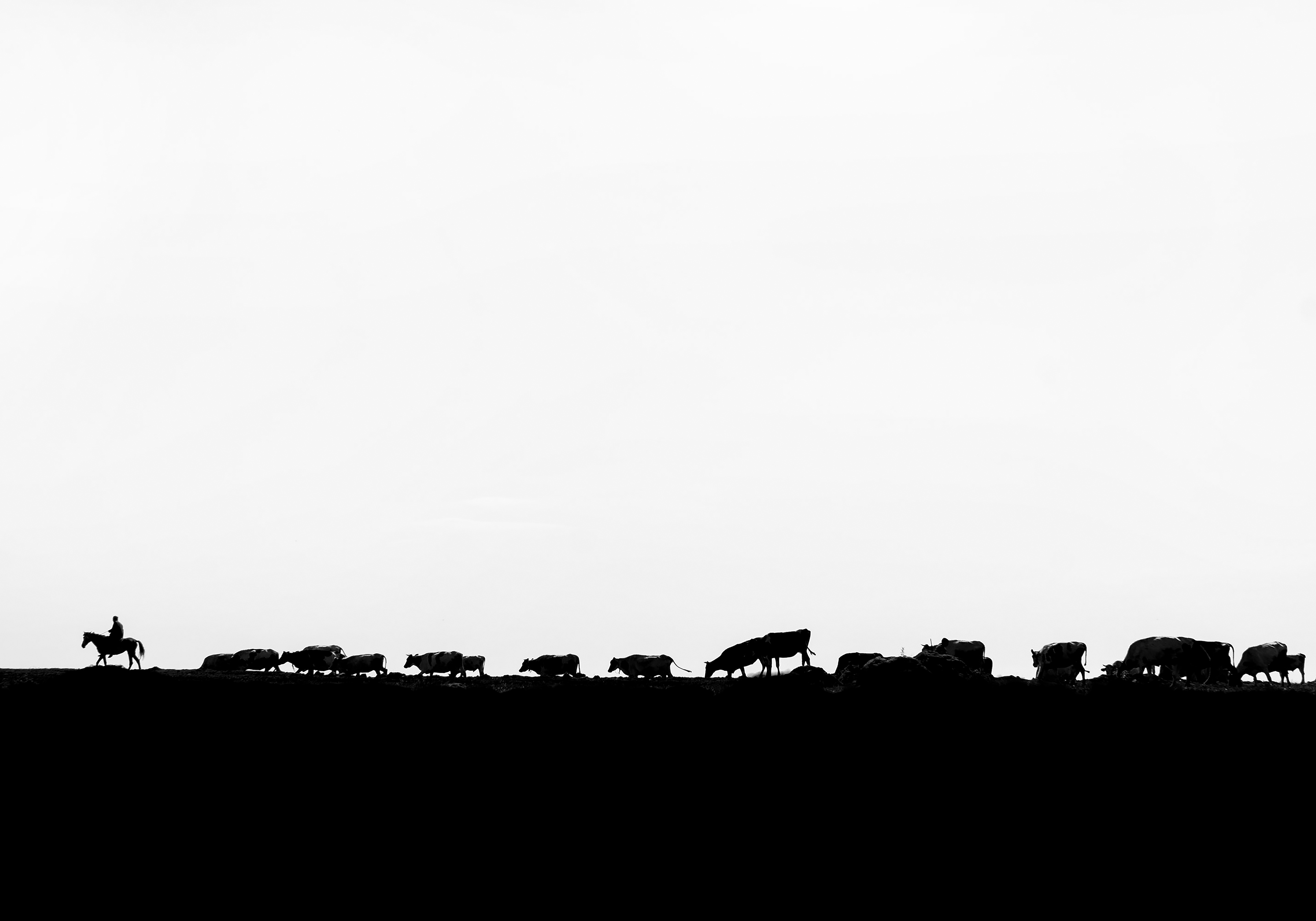 Artwork progressive by Abdolrahman Mojarrad Artwork progressive by Abdolrahman Mojarrad