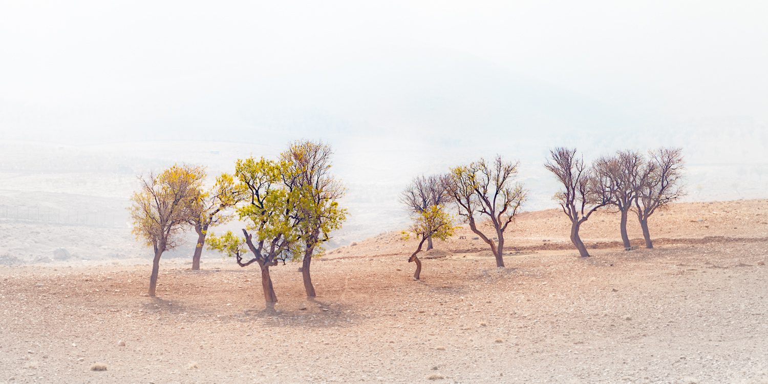 اثر اجتماع از مهدی ارسطویی اثر اجتماع از مهدی ارسطویی