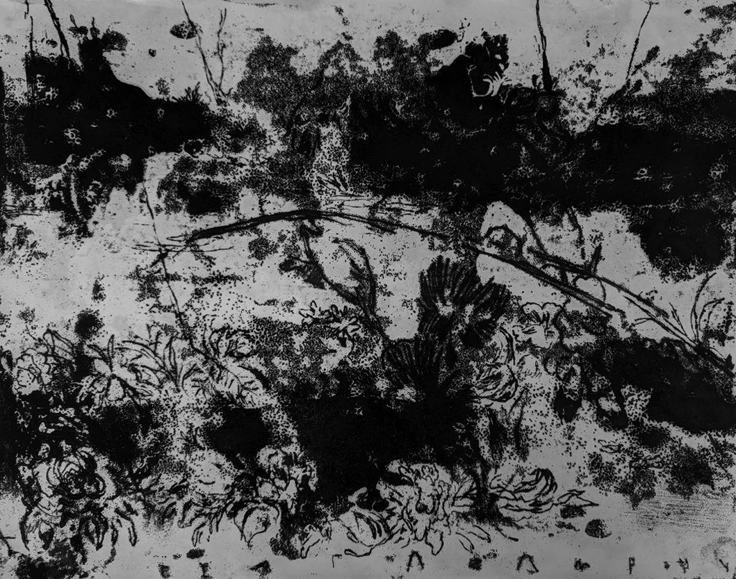 اثر طبیعت بی جان 2 از حجت اعظمپور اثر طبیعت بی جان 2 از حجت اعظمپور