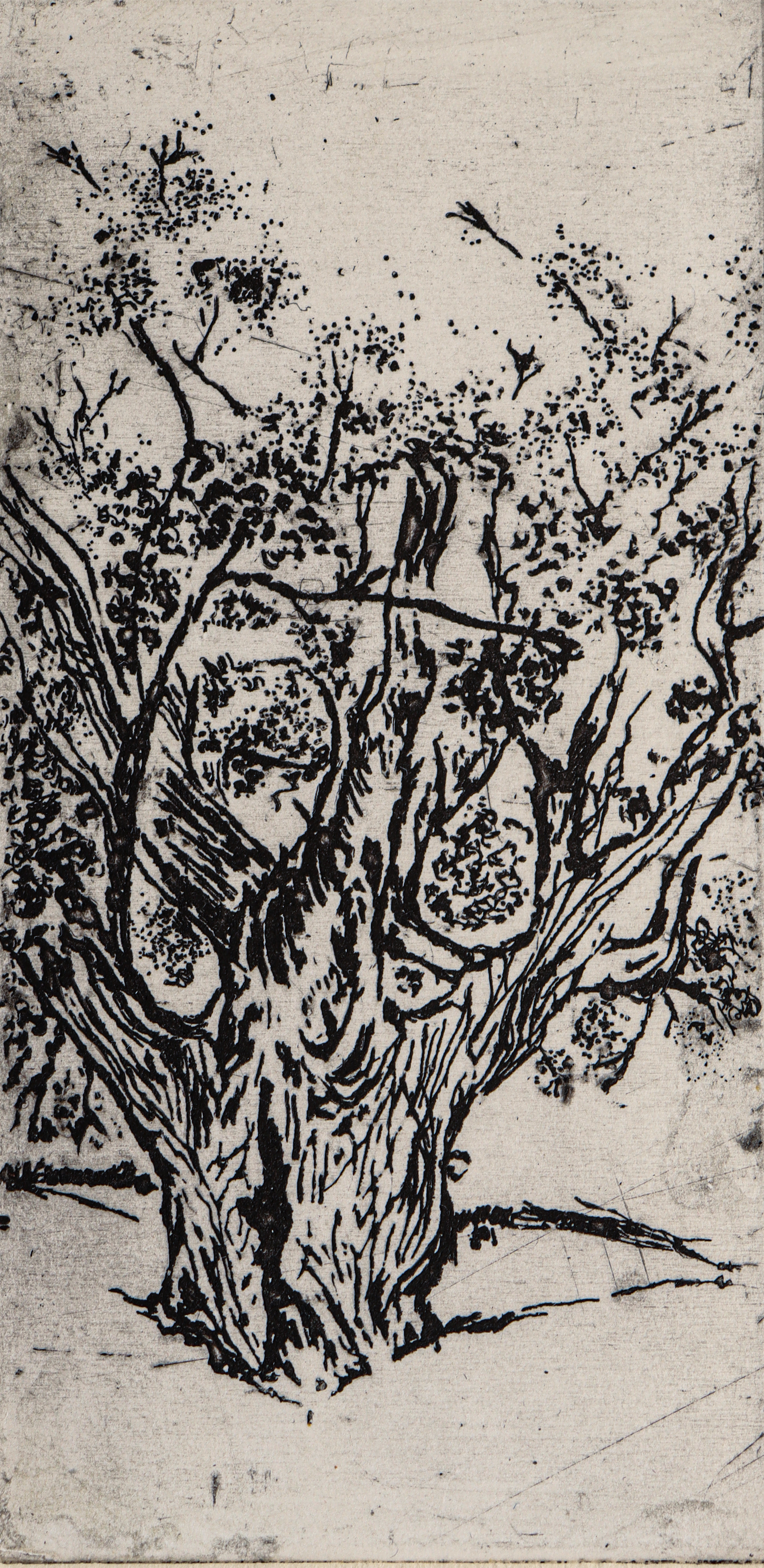 Artwork untitle1 by Elham Radfar Artwork untitle1 by Elham Radfar