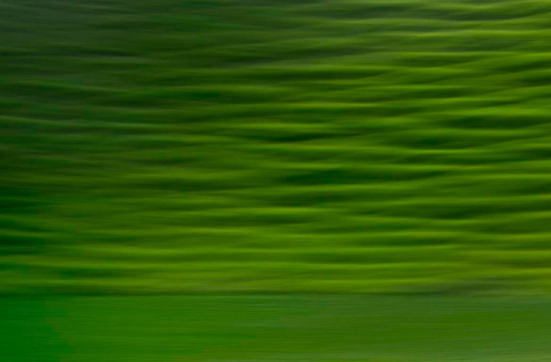 اثر رویای سبز از سعید محمودی ازناوه اثر رویای سبز از سعید محمودی ازناوه