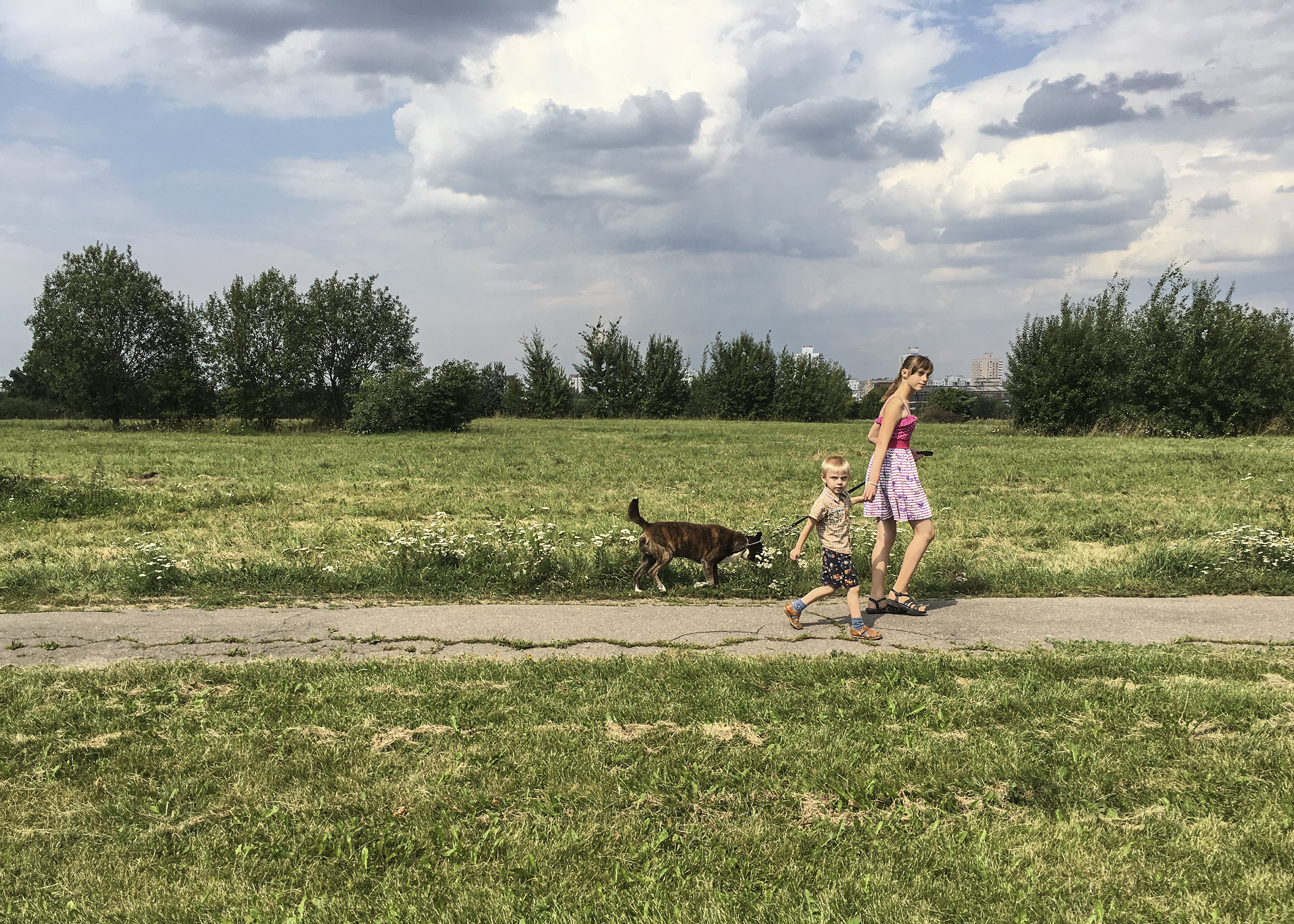 Artwork that summer passed by pegah ghadiri Artwork that summer passed by pegah ghadiri