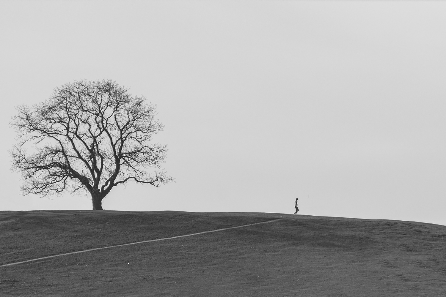 alone | | Artibition alone | | Artibition