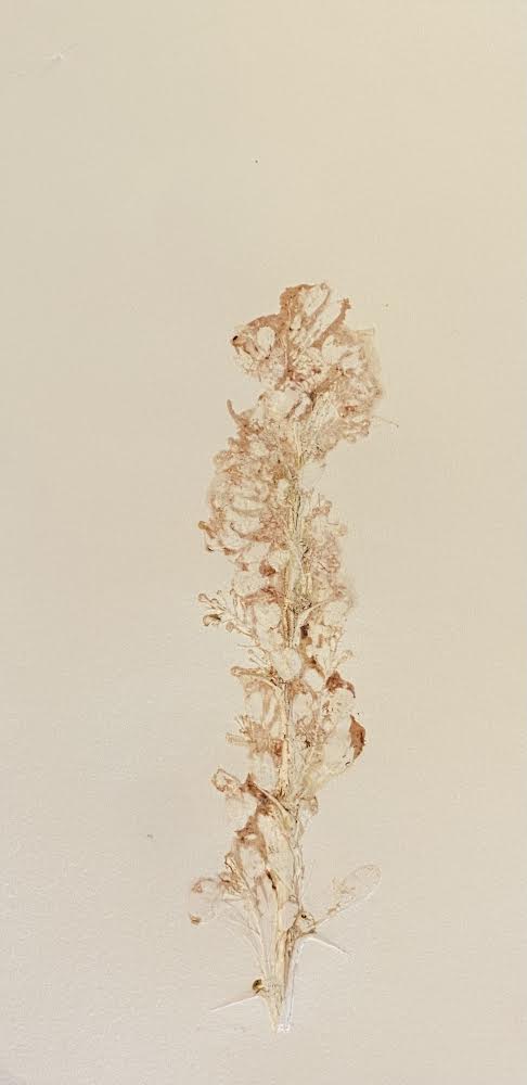 اثر بدون عنوان از هیچا اثر بدون عنوان از هیچا