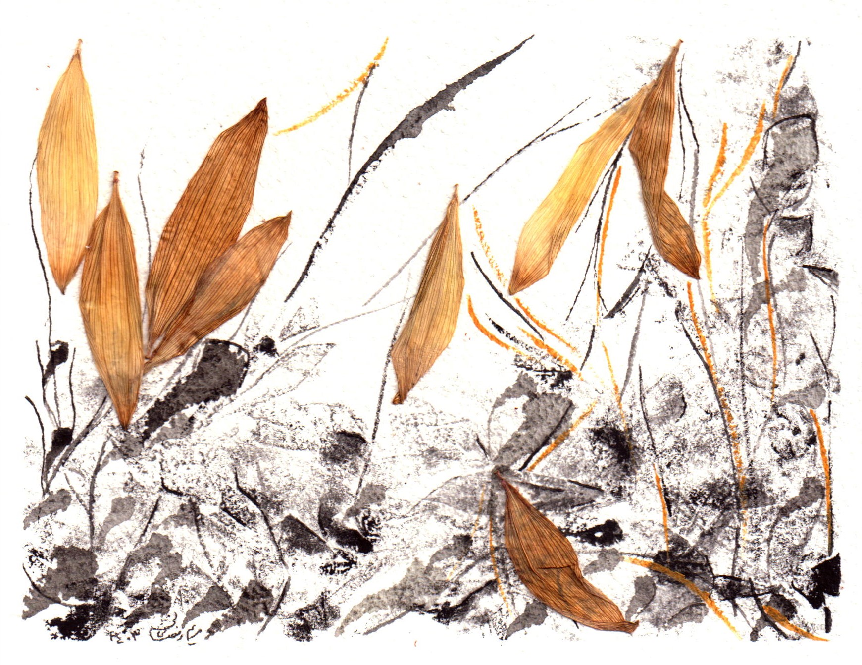 Artwork Choice by undefined Artwork Choice by undefined