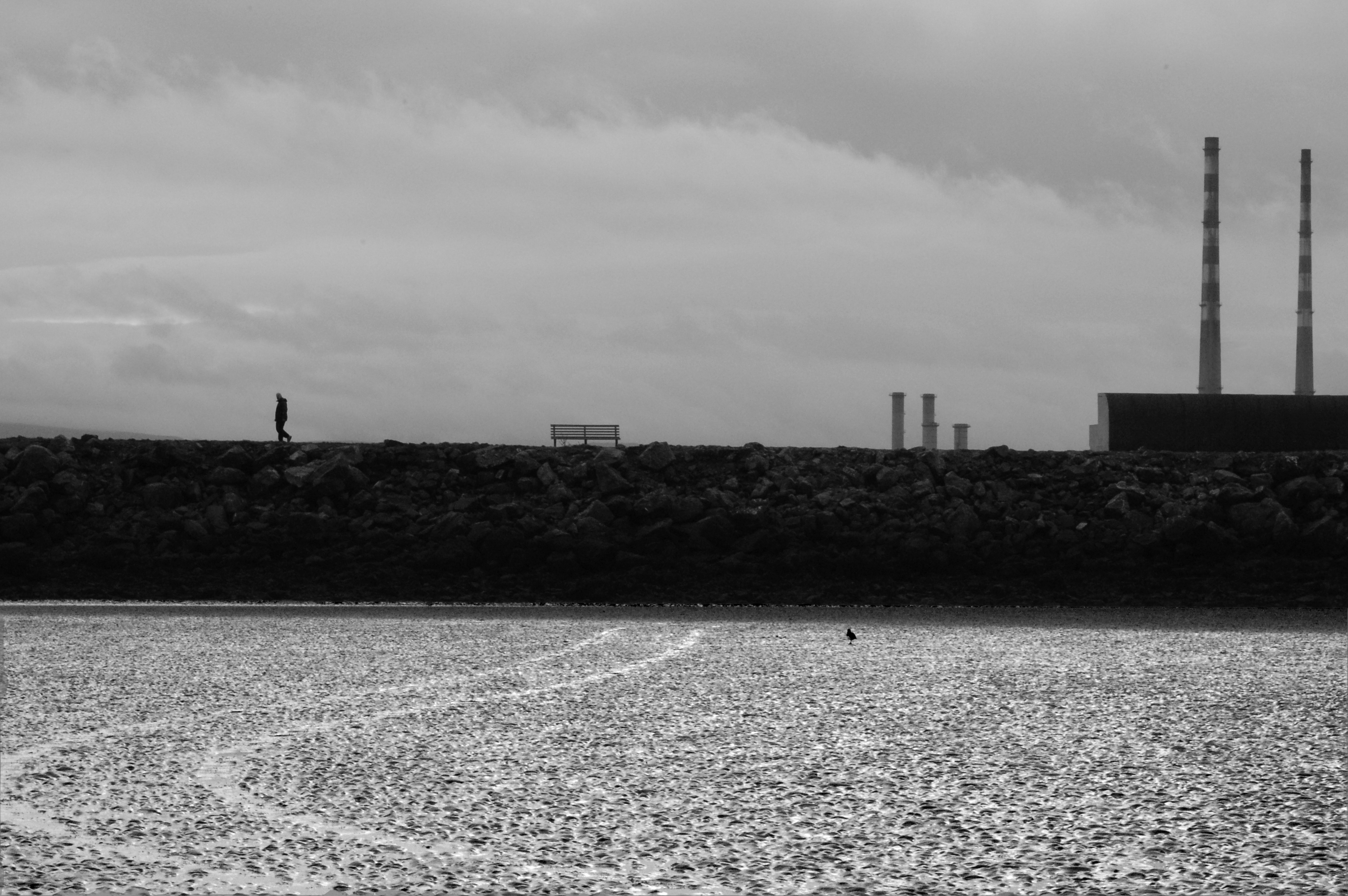 اثر رویاهای خیس - 2 از سام کلانتری اثر رویاهای خیس - 2 از سام کلانتری