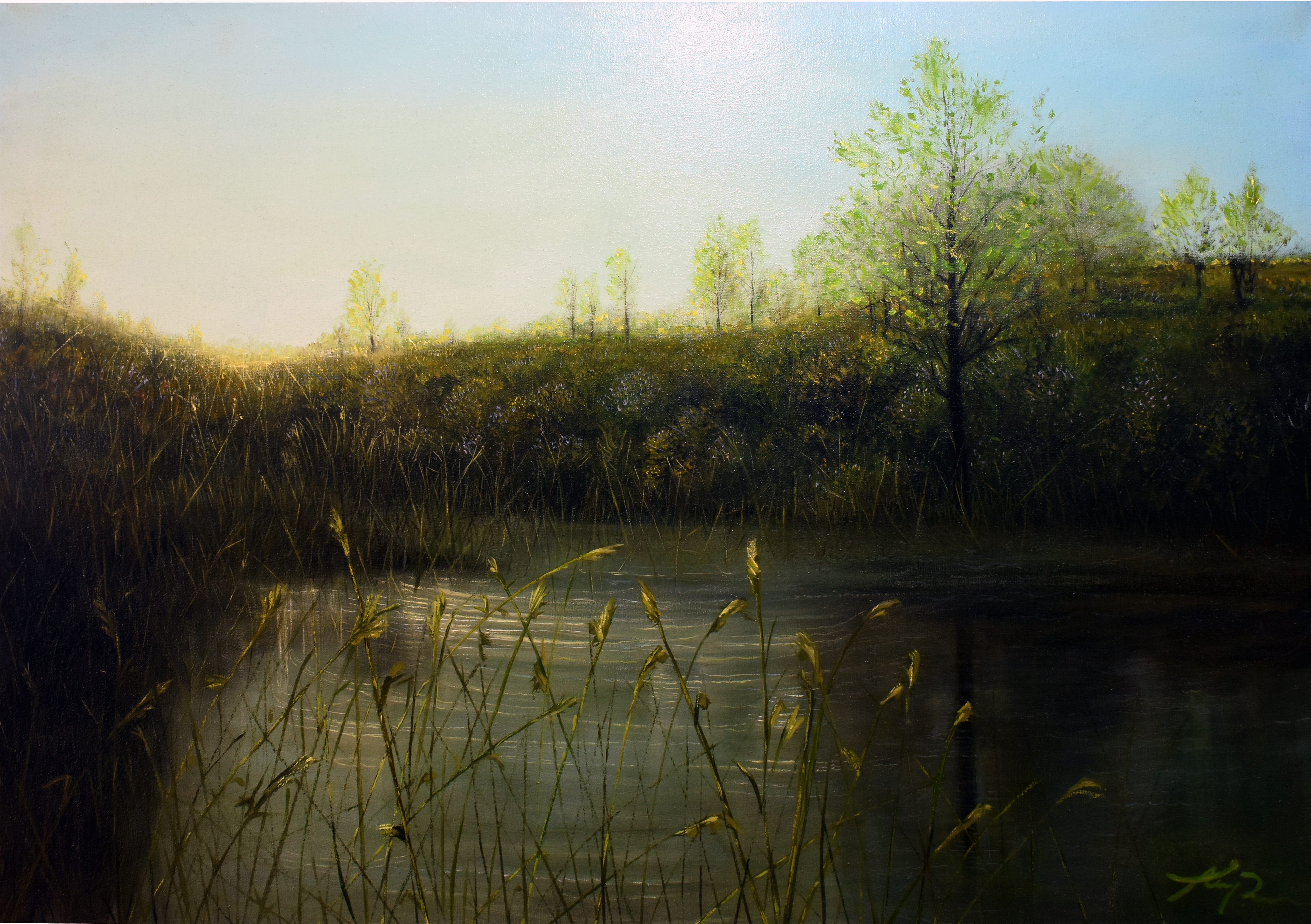 اثر مرداب از اسلام علی پور اثر مرداب از اسلام علی پور