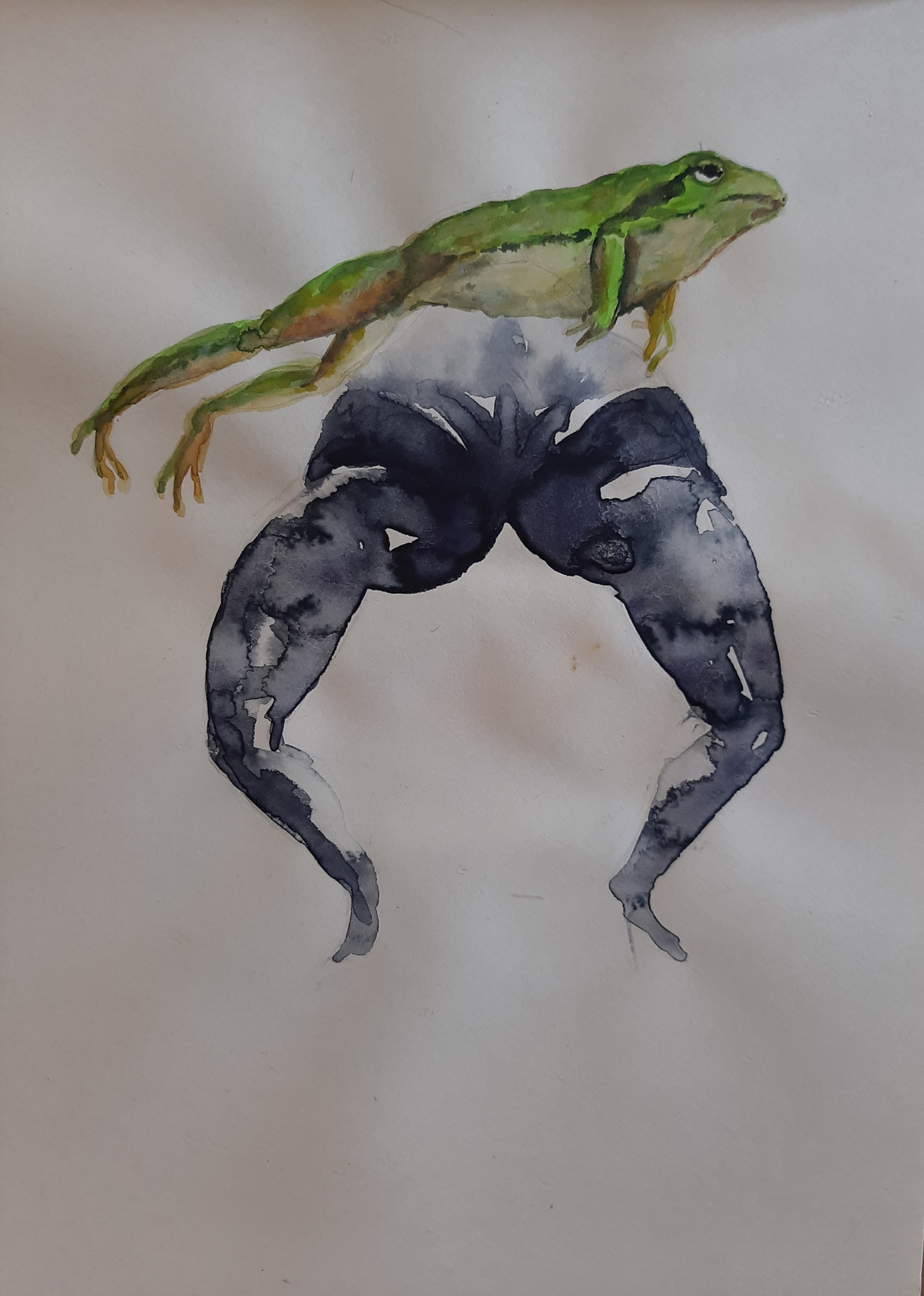 Artwork Metamorphosis 2 by fateme sadat ahmadi Artwork Metamorphosis 2 by fateme sadat ahmadi