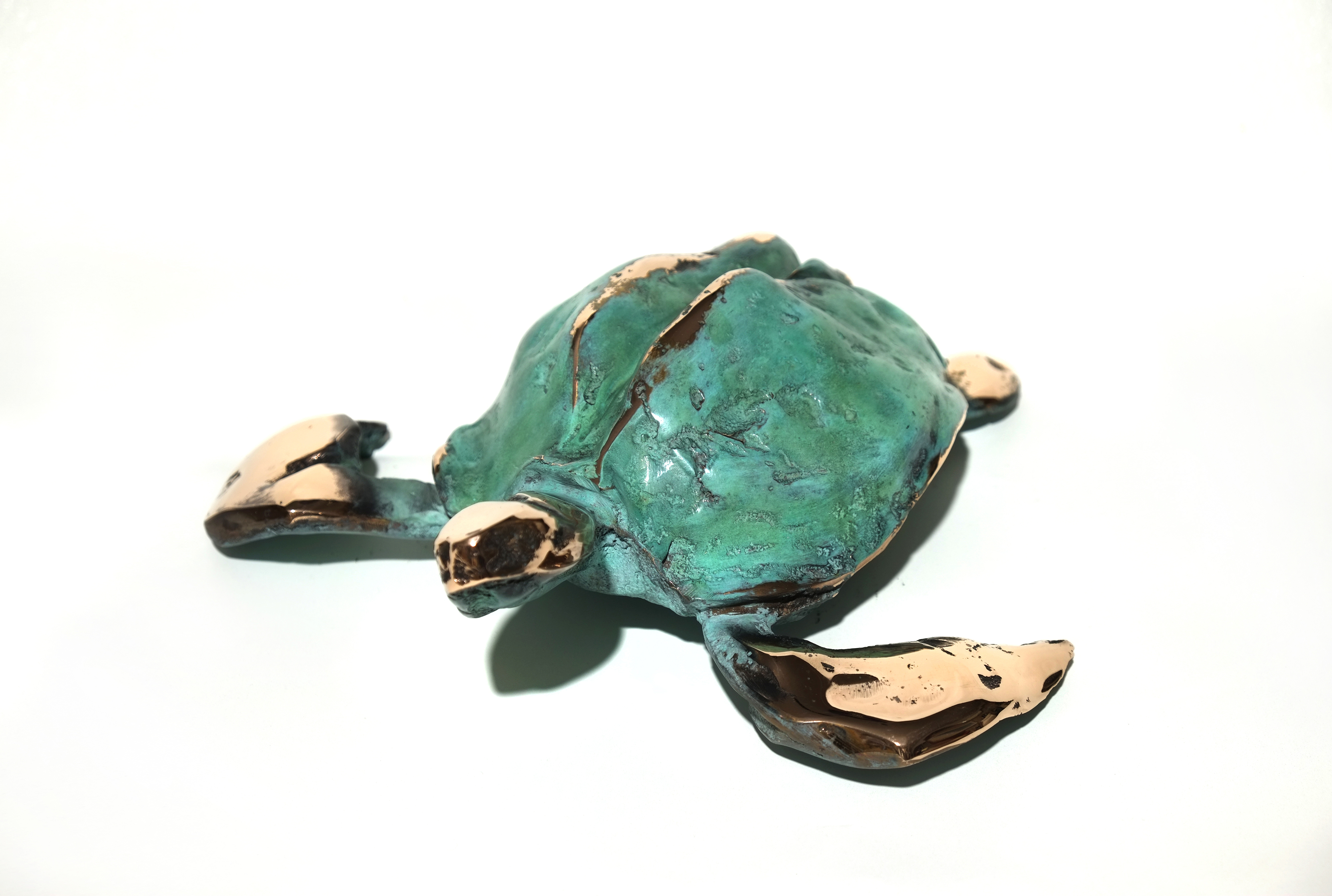 Artwork turtle by Amin Aghaei Artwork turtle by Amin Aghaei