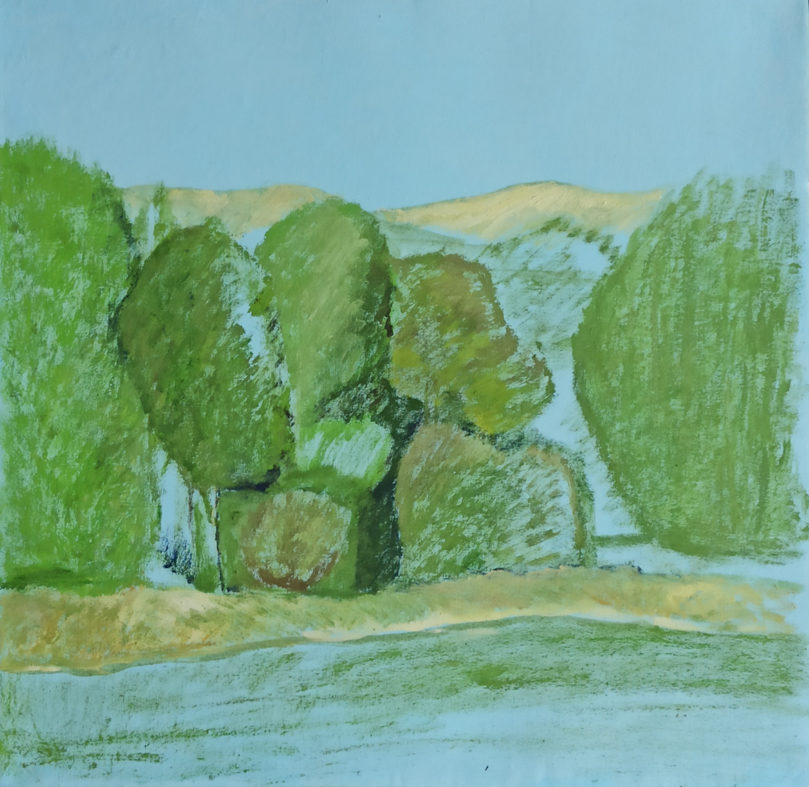 اثر طبیعت سبز از فاطمه آقاکبیری اثر طبیعت سبز از فاطمه آقاکبیری