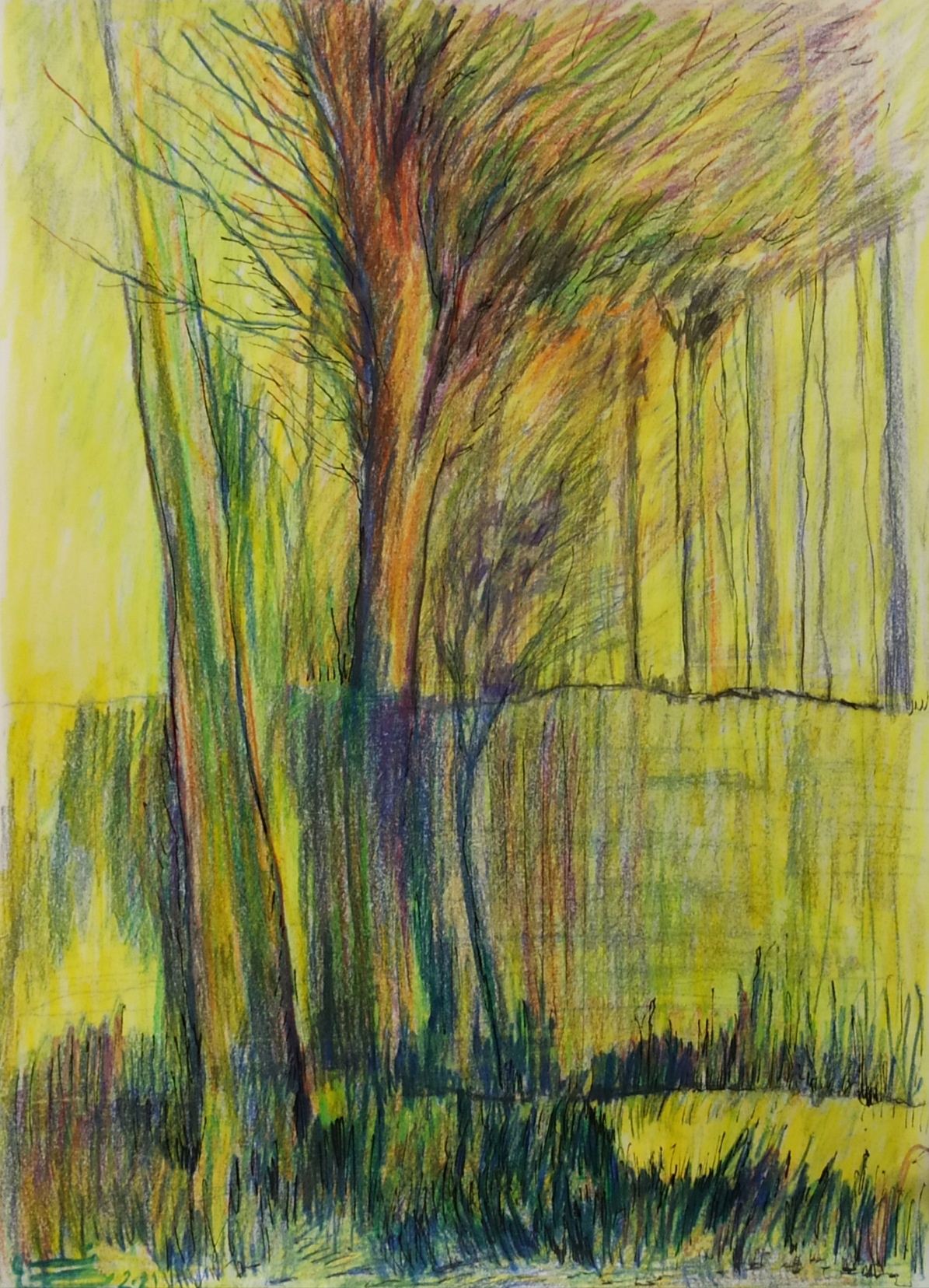 Artwork Colored nature by fatemeh aghakabiri Artwork Colored nature by fatemeh aghakabiri