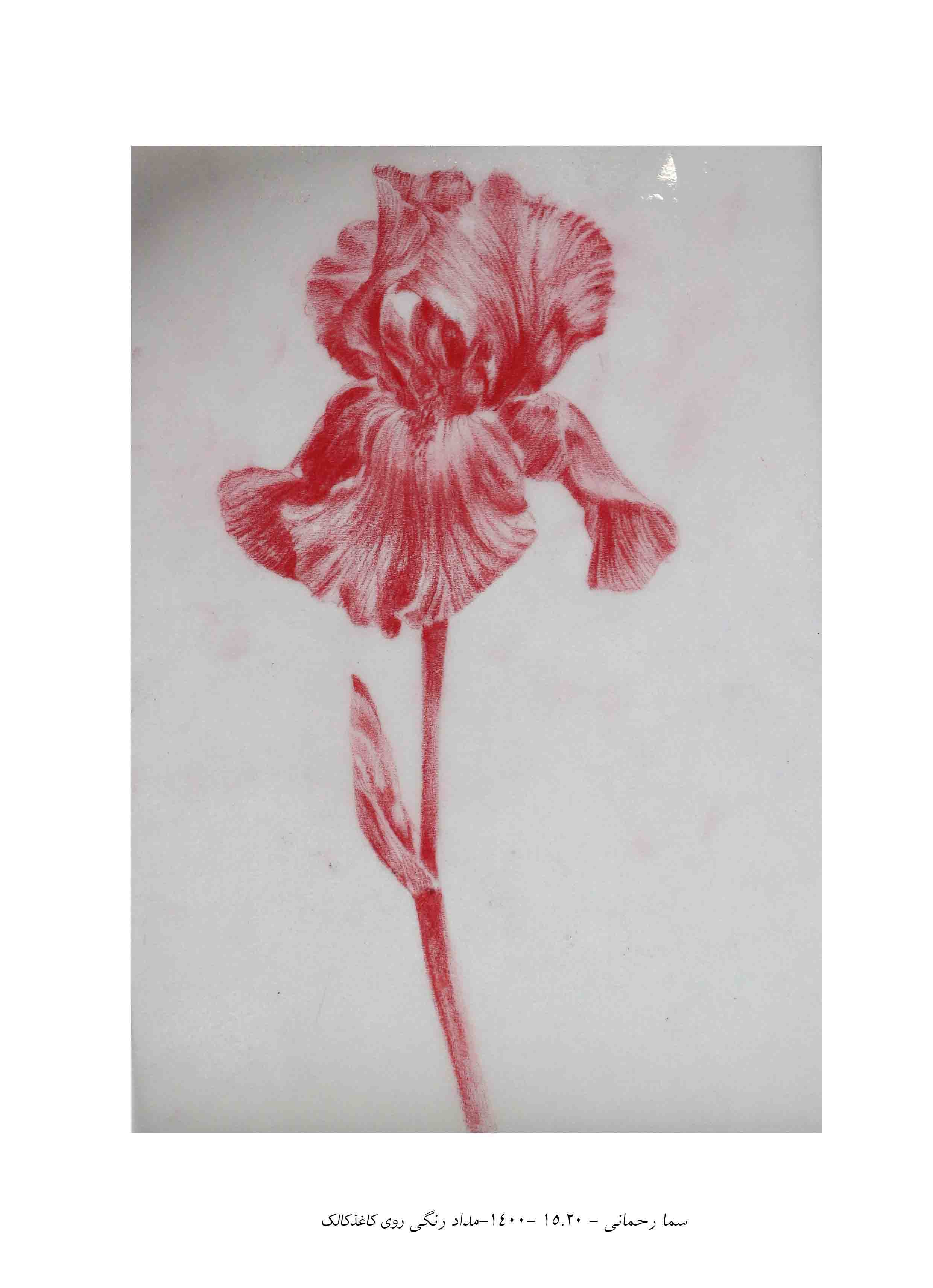 Artwork IRIS by Sama Rahmani garmaroudi Artwork IRIS by Sama Rahmani garmaroudi