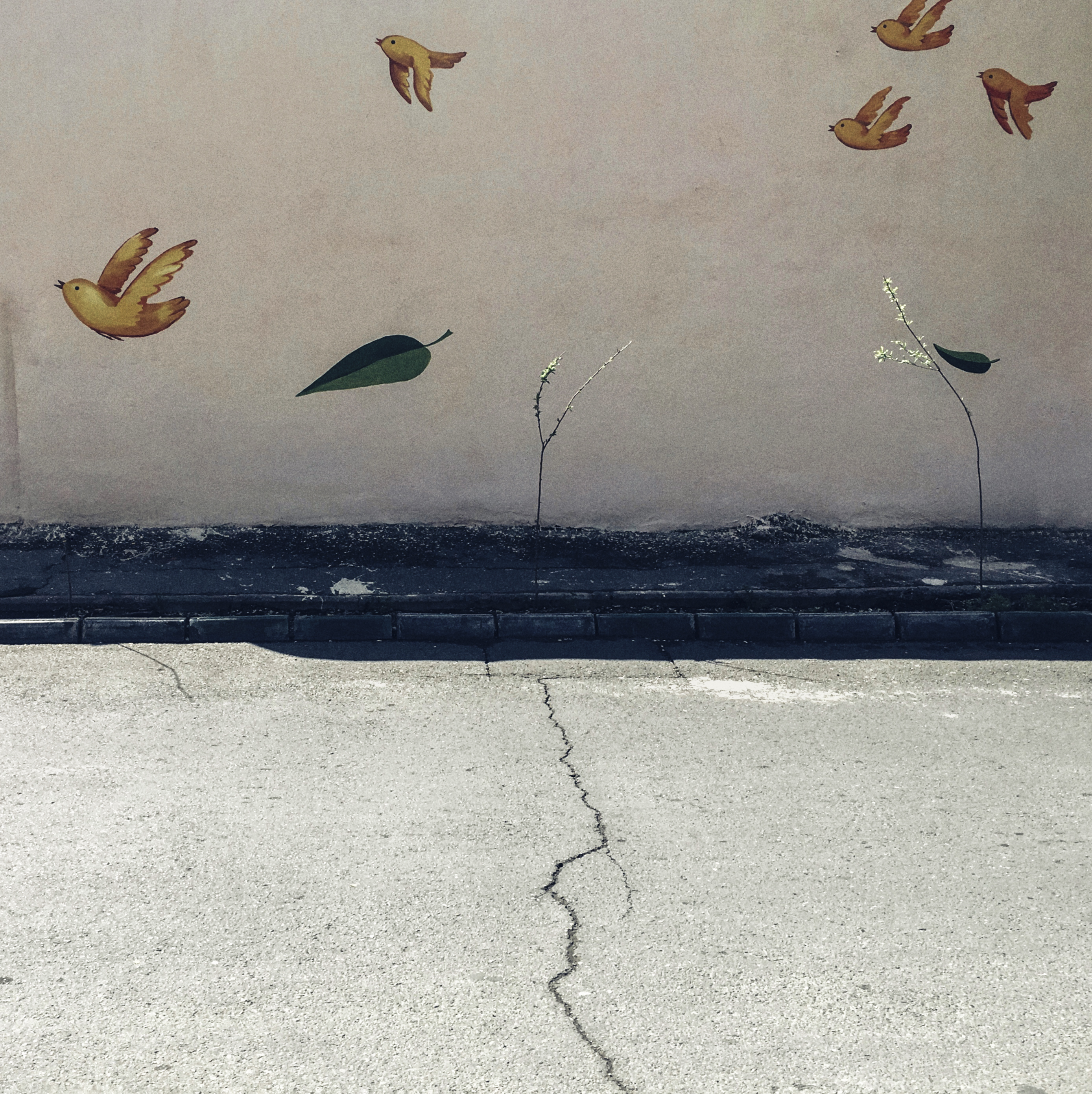 Artwork spring by pegah ghadiri Artwork spring by pegah ghadiri