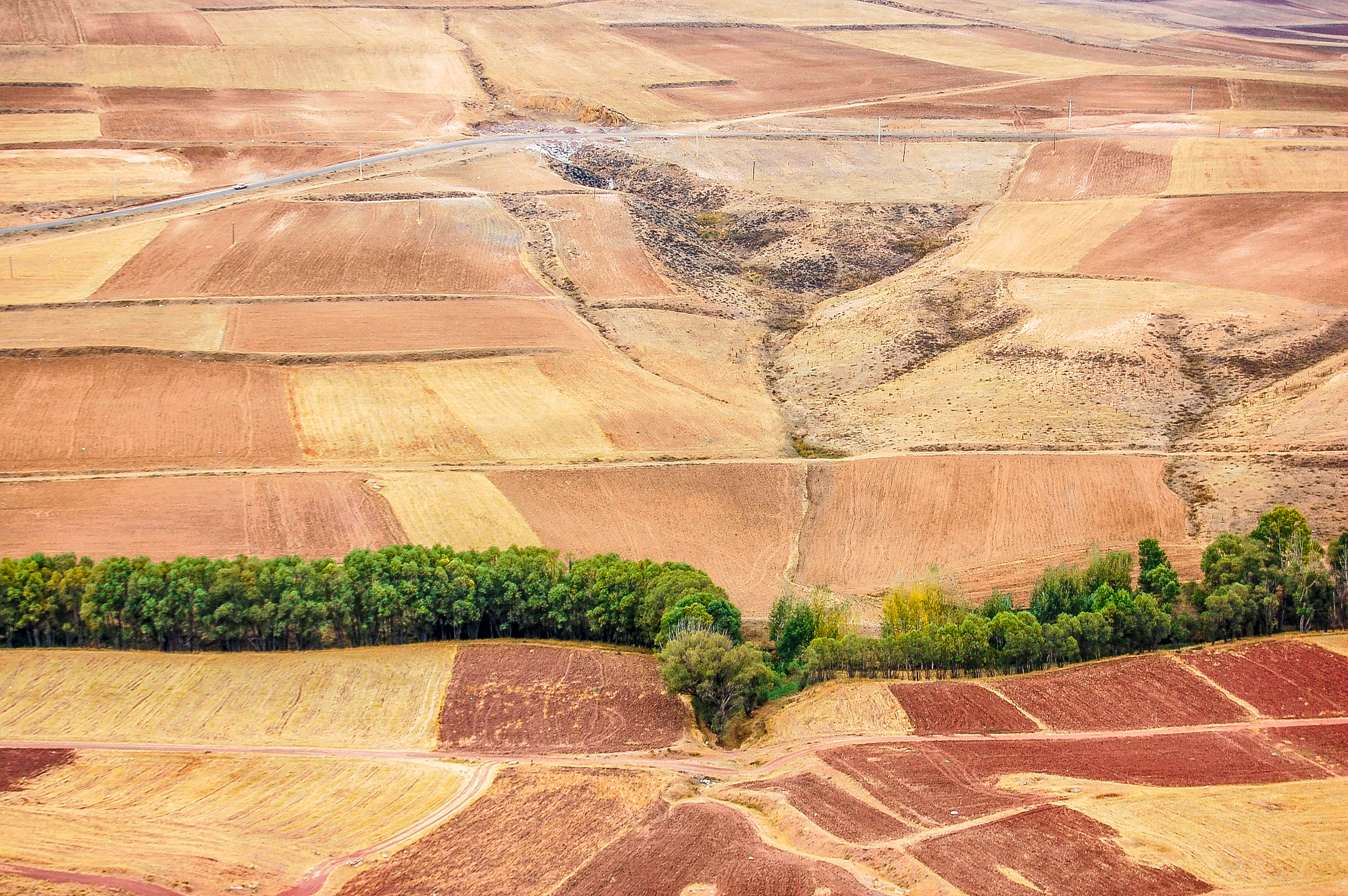 Artwork green border by Abdolrahman Mojarrad Artwork green border by Abdolrahman Mojarrad