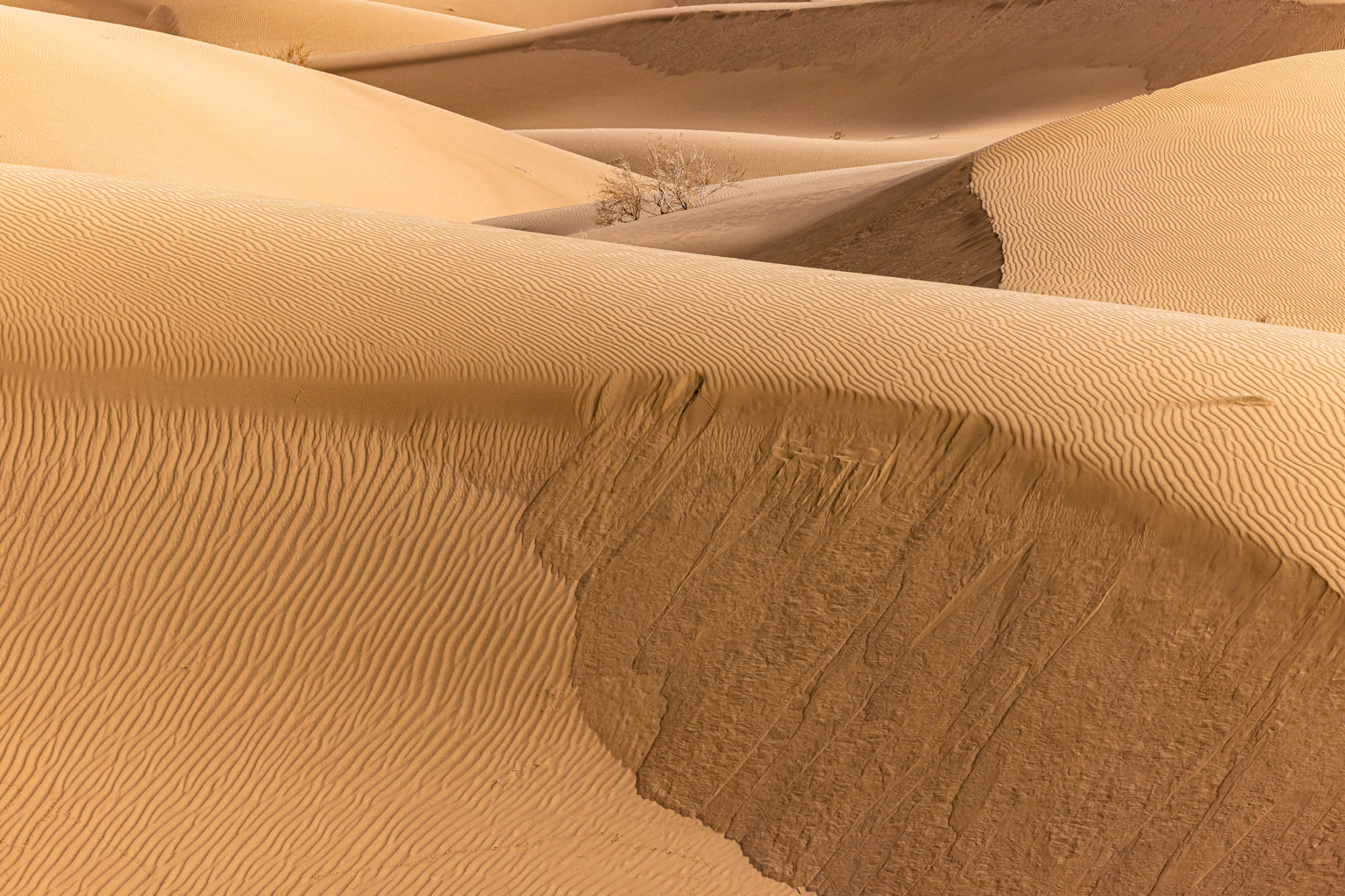 Artwork desert 01 by Majid Hojati - Maho Artwork desert 01 by Majid Hojati - Maho