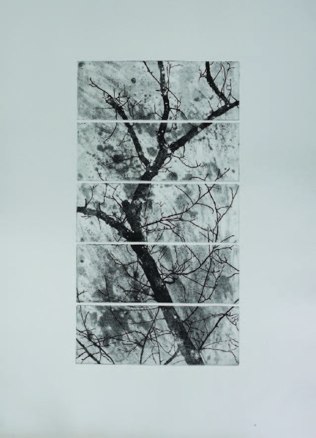 اثر بدون عنوان از فاطمه اسلامیان اثر بدون عنوان از فاطمه اسلامیان