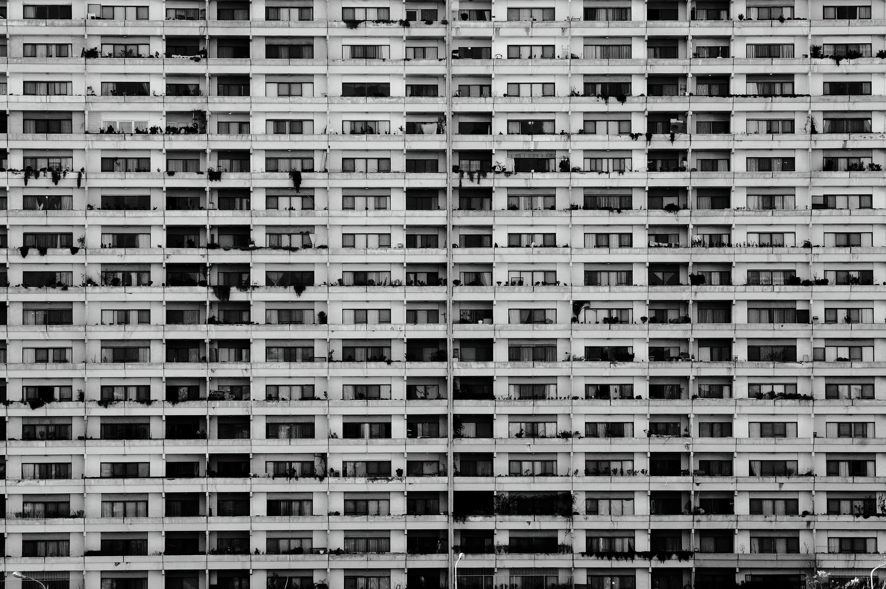 اثر شهرک امید از هوفر حقیقی اثر شهرک امید از هوفر حقیقی