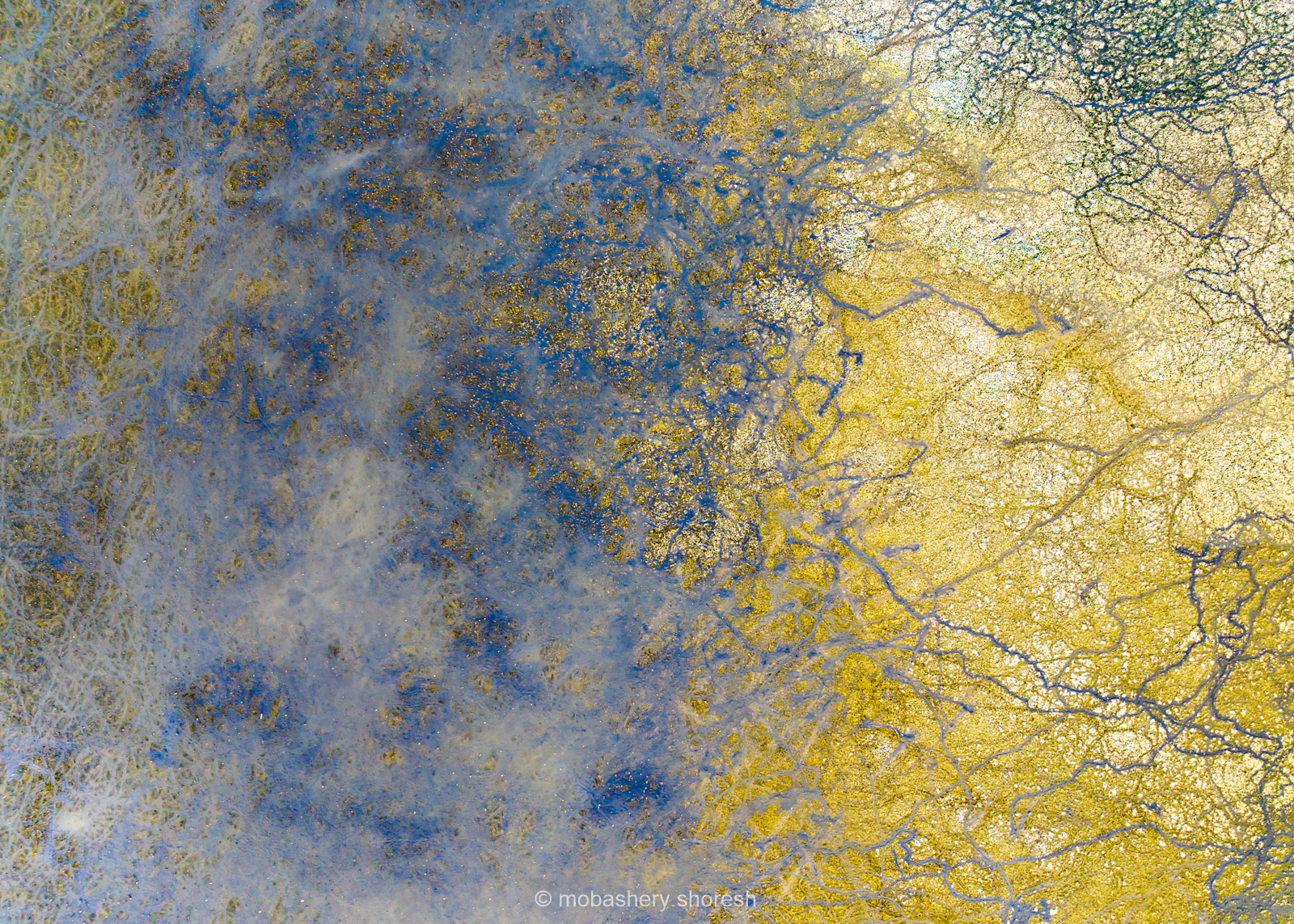 Artwork Kani Barazan Wetland by shoresh mobasheri Artwork Kani Barazan Wetland by shoresh mobasheri